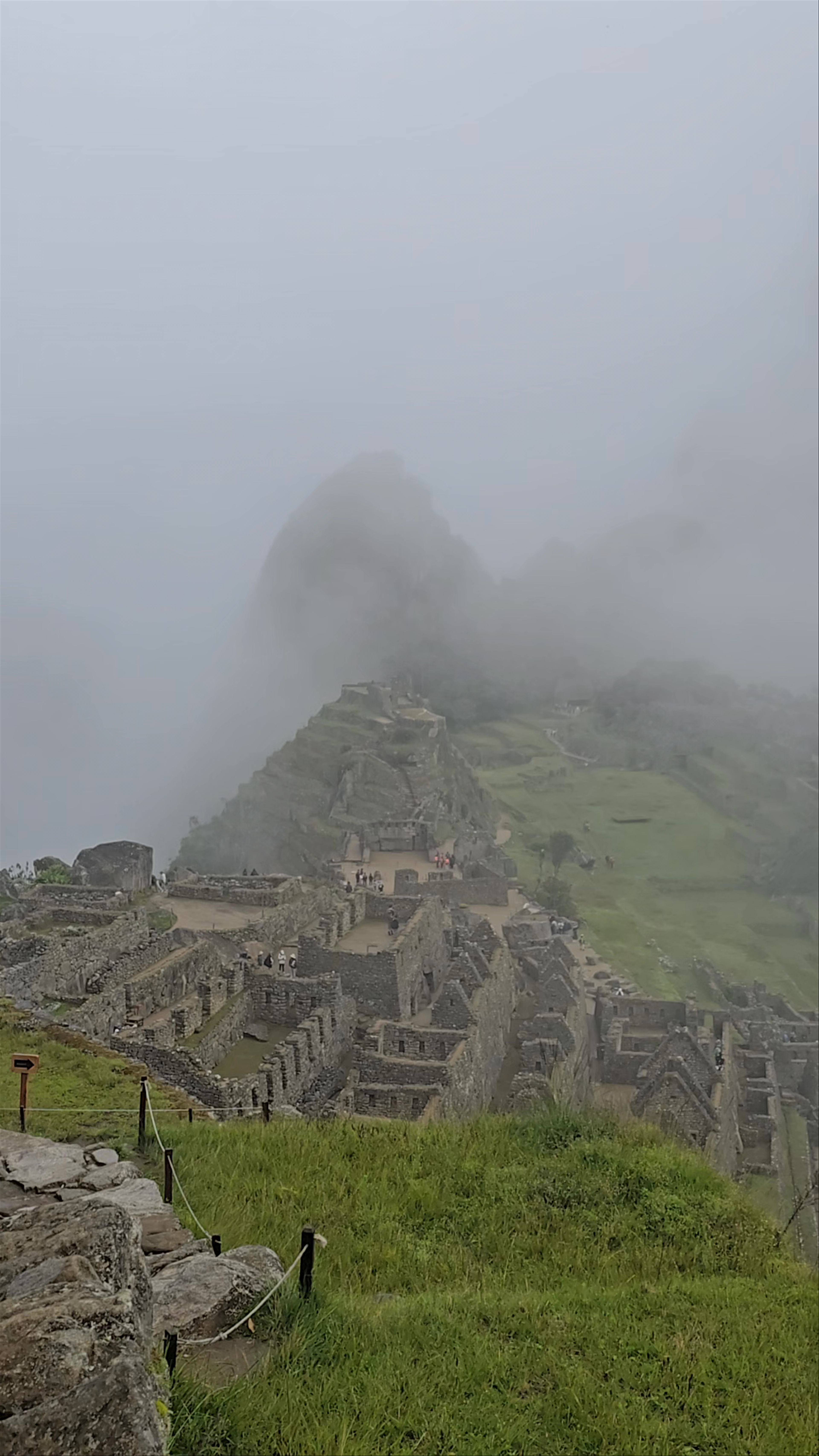Machu Picchu in Mist: Mystical Cloud-Shrouded Ruins with Llama View