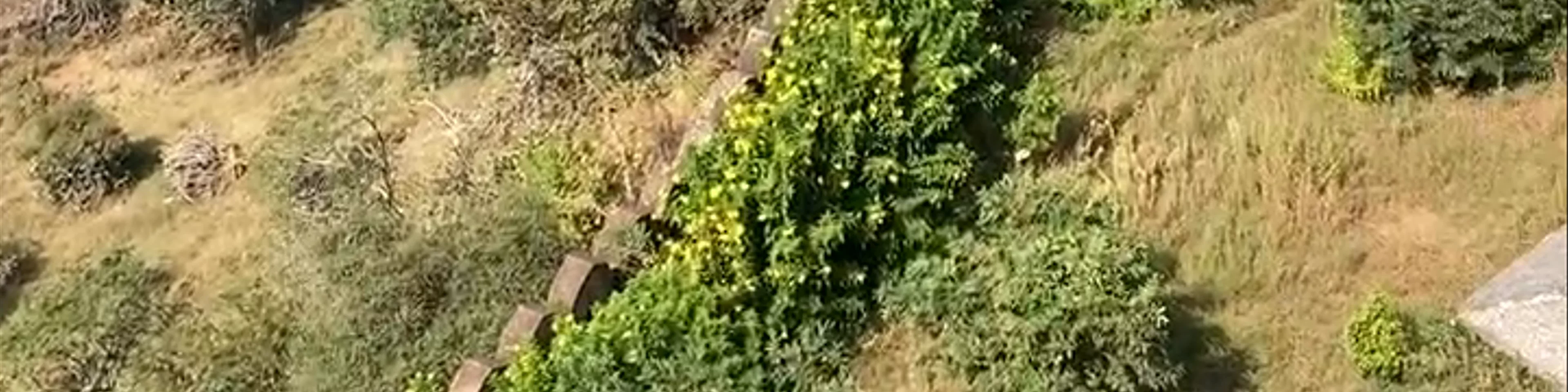 Kumbhalgarh fort pickest point