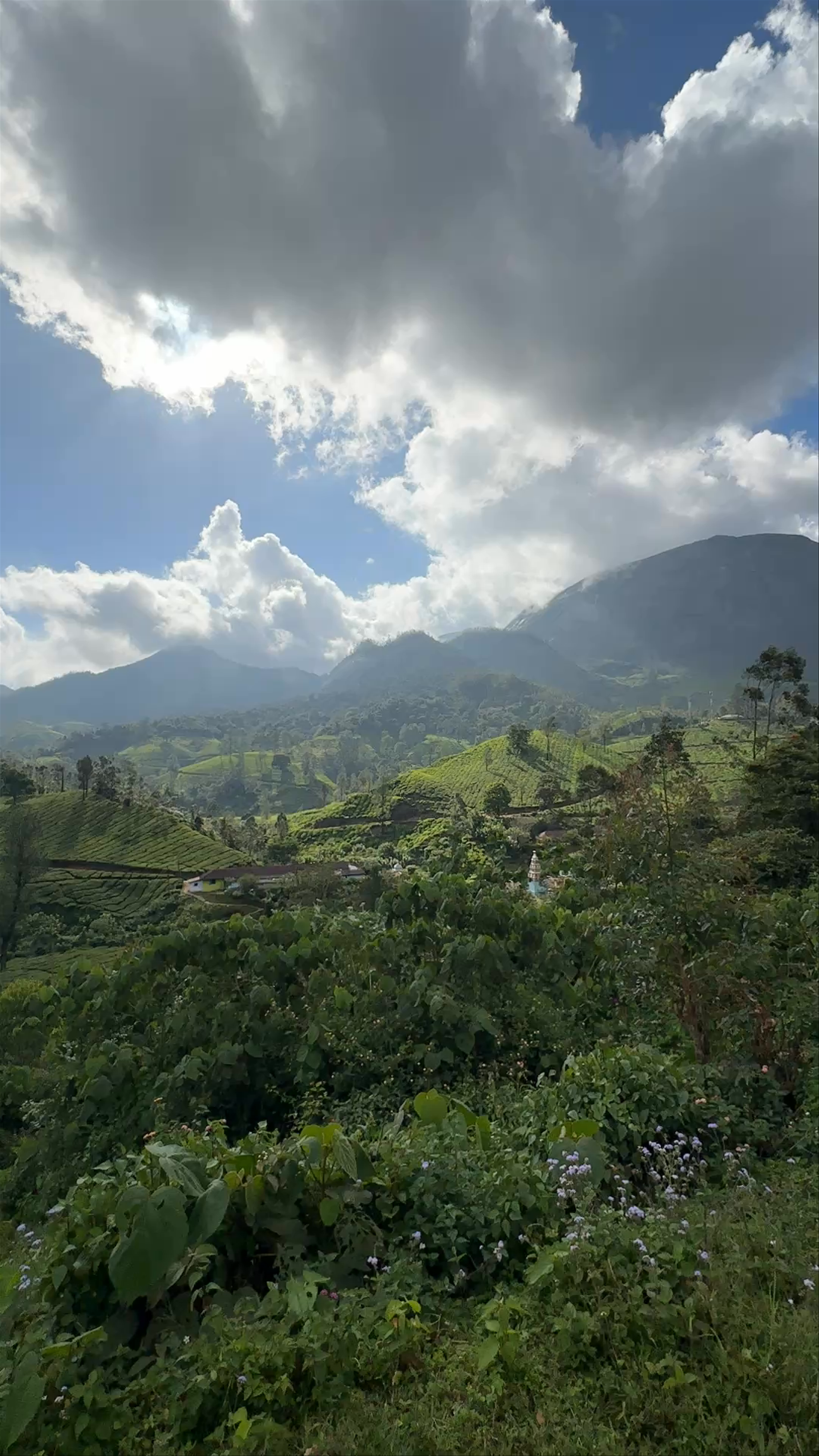 Munnar Tea Garden View Point