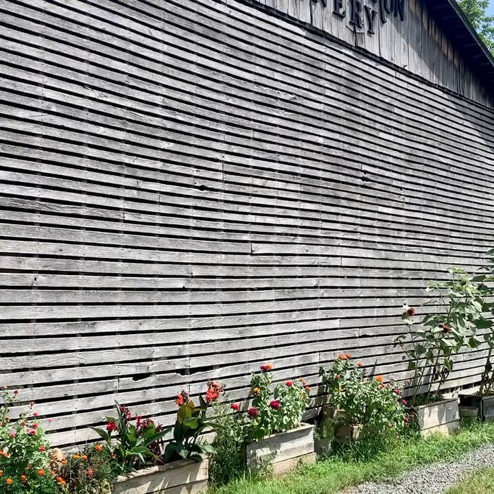 Mountain Run Winery - Wineries Near Me - Culpeper, Virginia