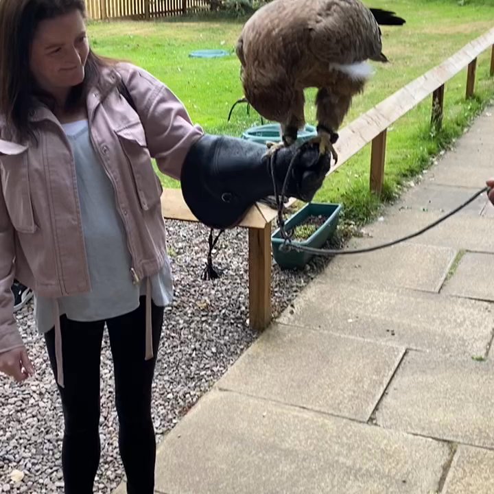 Dalhousie Falconry - Archery Near Me - Edinburgh, MLN