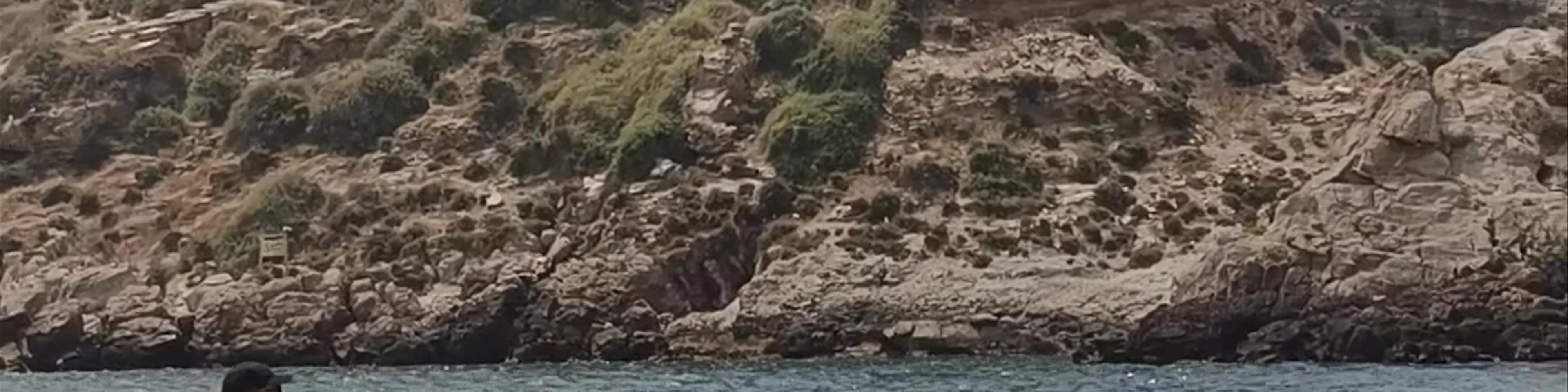 Isla de las Palomas