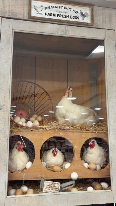 Oregon Dairy - Fluffy Butt Hutt - Bakeries Near Me - Lititz, Pennsylvania
