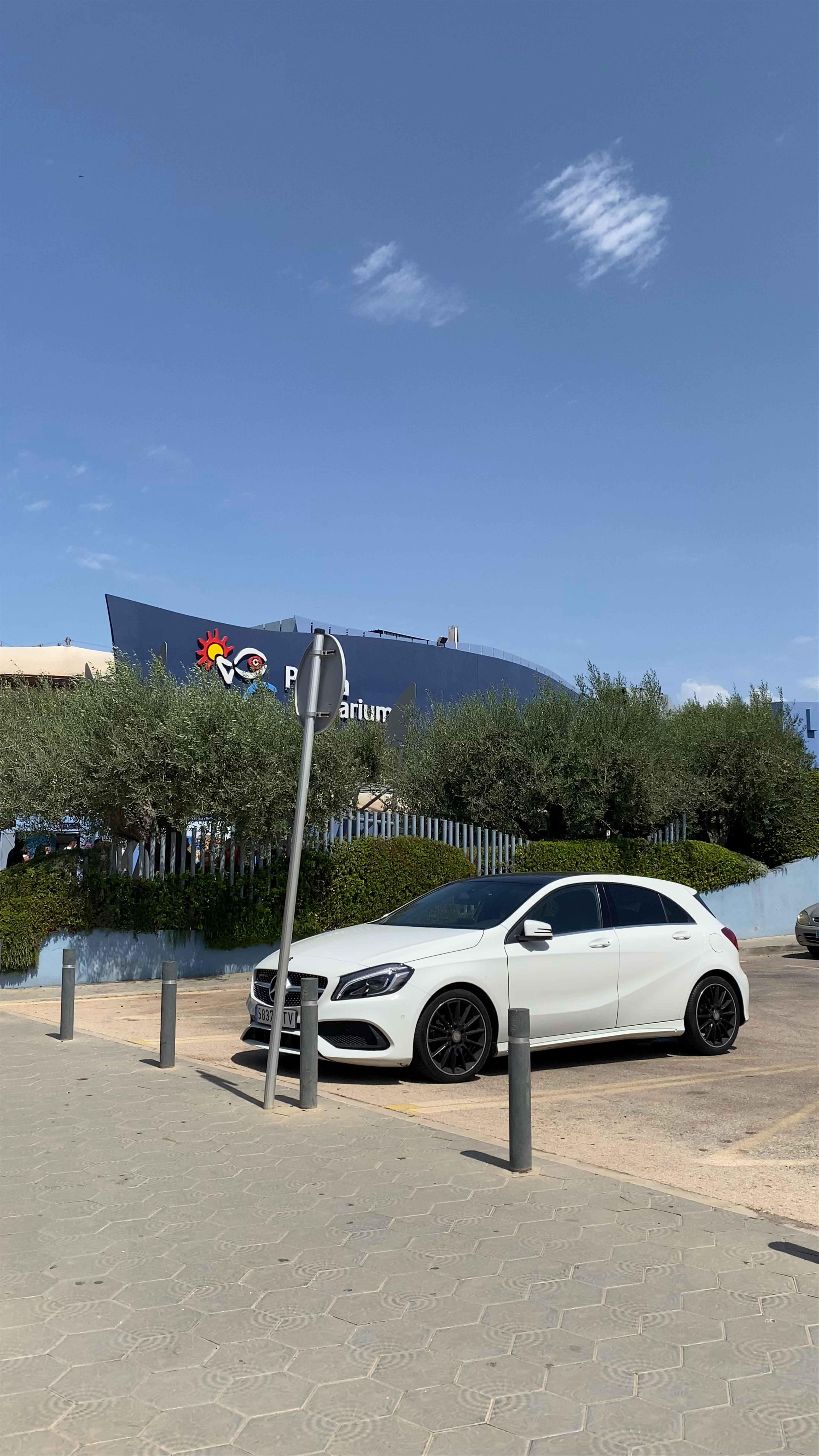 Exploring Palma Aquarium: Family Fun and Marine Wonders in Palma, Spain