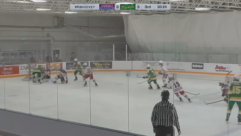 Thomas Robillard's Thunderous Hit to Clear the Crease