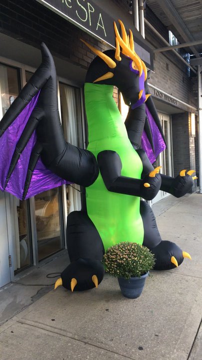 Green Stone Spa - Dragon style! - Massage Therapy Near Me - Brooklyn, New York