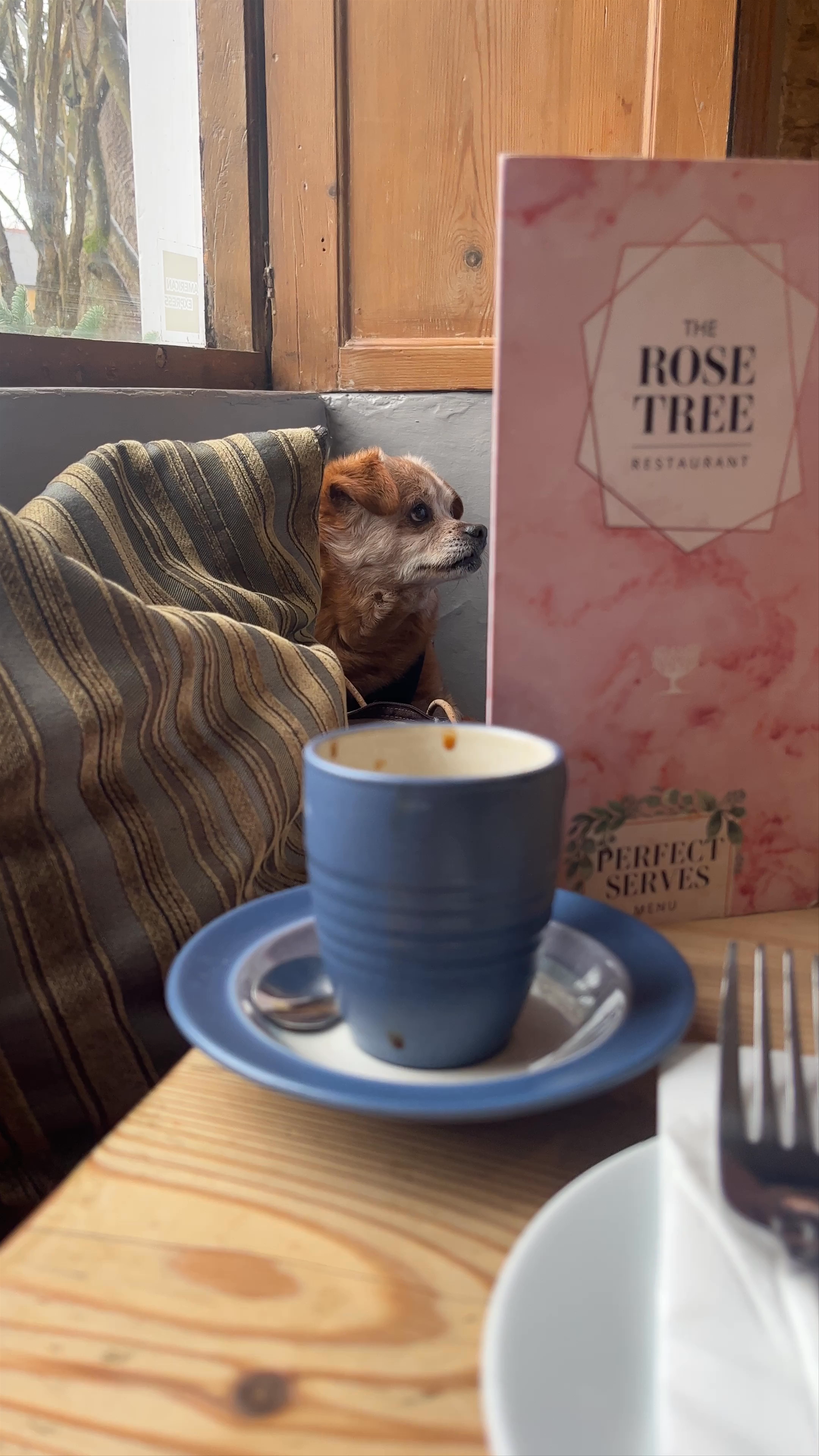 The Rose Tree Restaurant