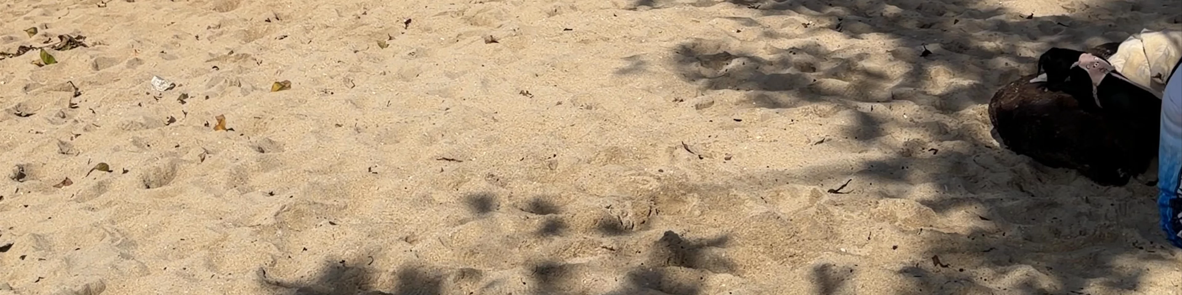Saud Beach