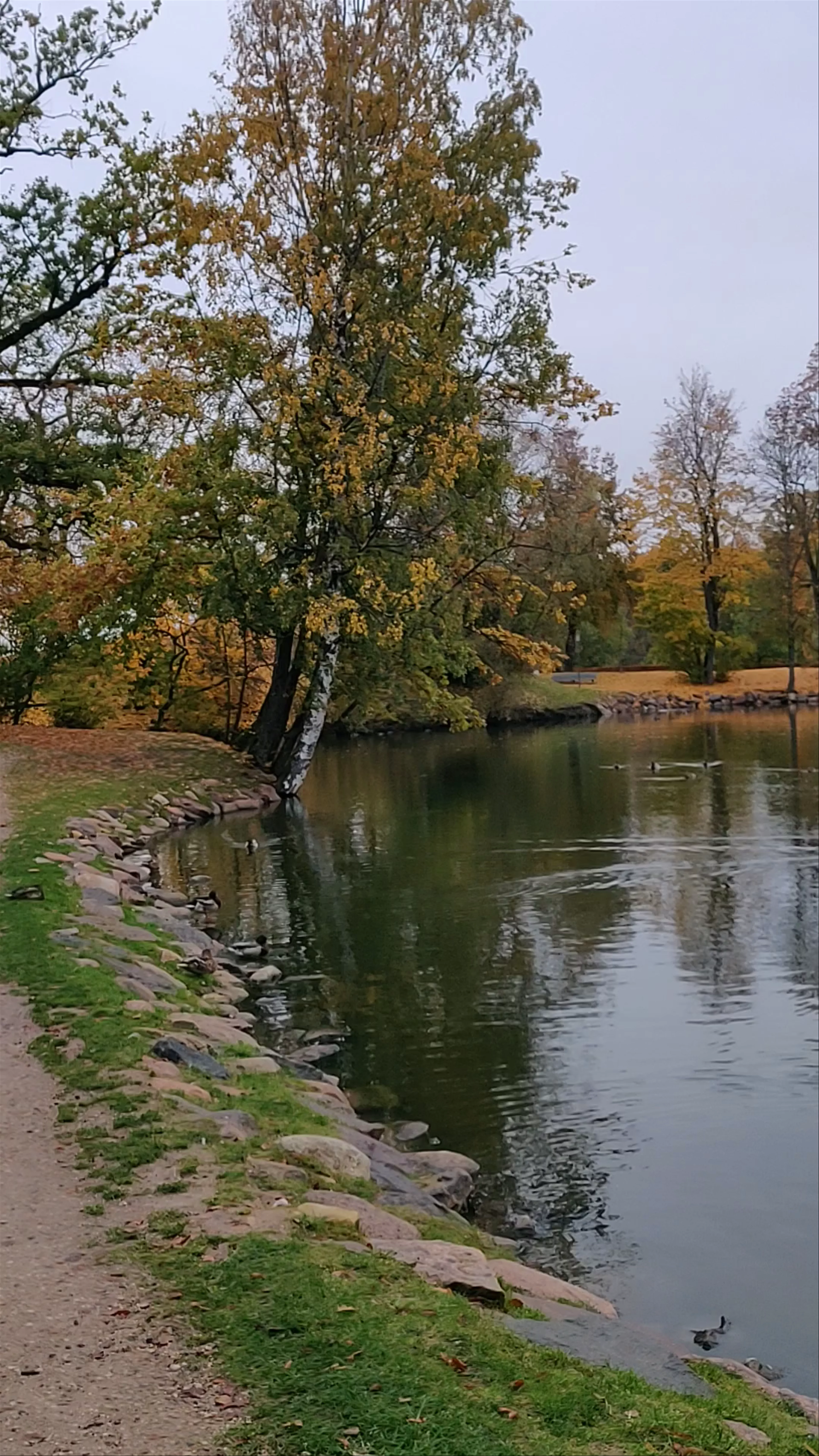 Pils parks, Lenču iela, Cēsis, Cēsu pilsēta, Cēsis Municipality, Latvia