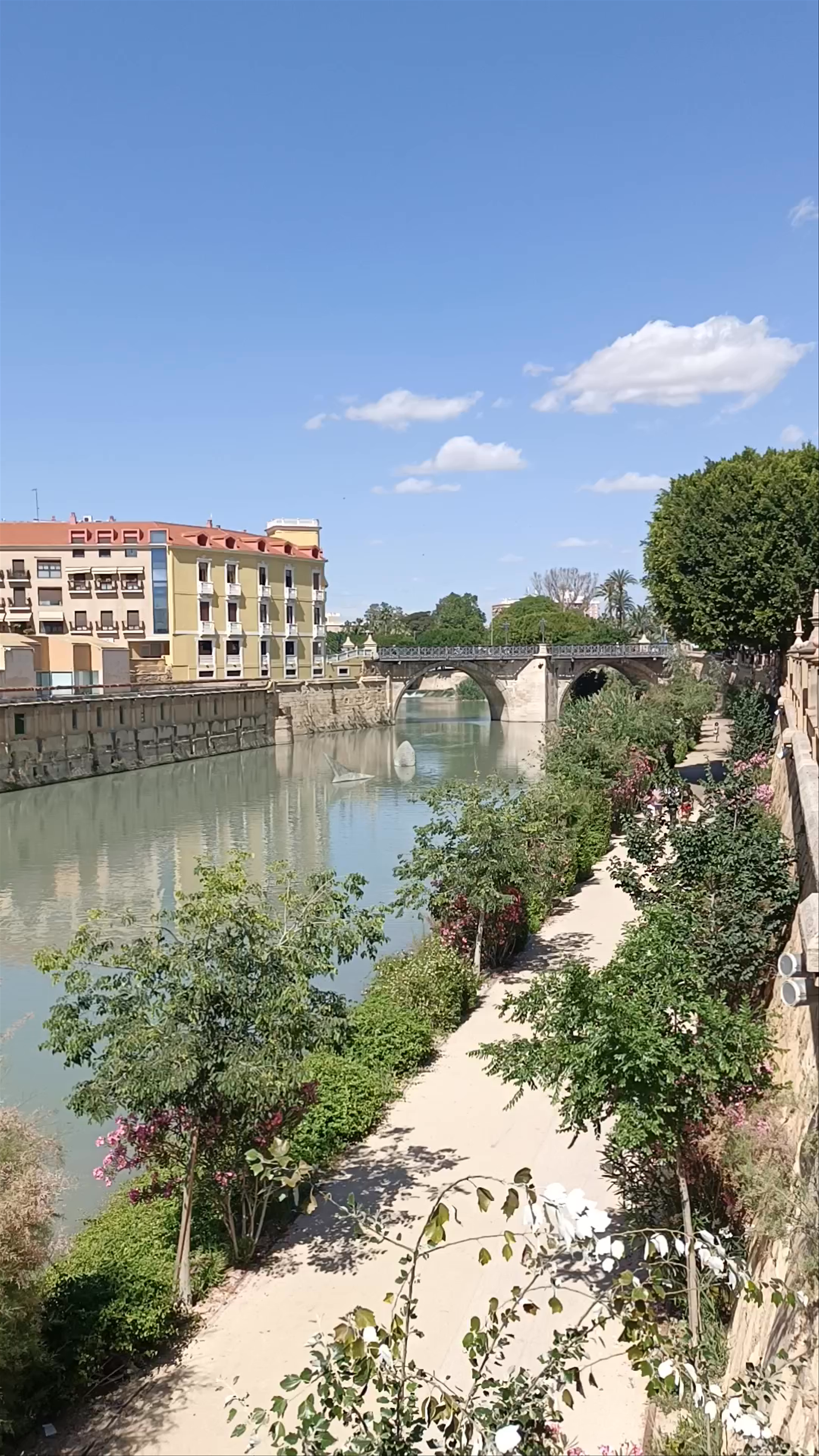 Scenic Riverside Walk Along Río Segura in Murcia, Spain