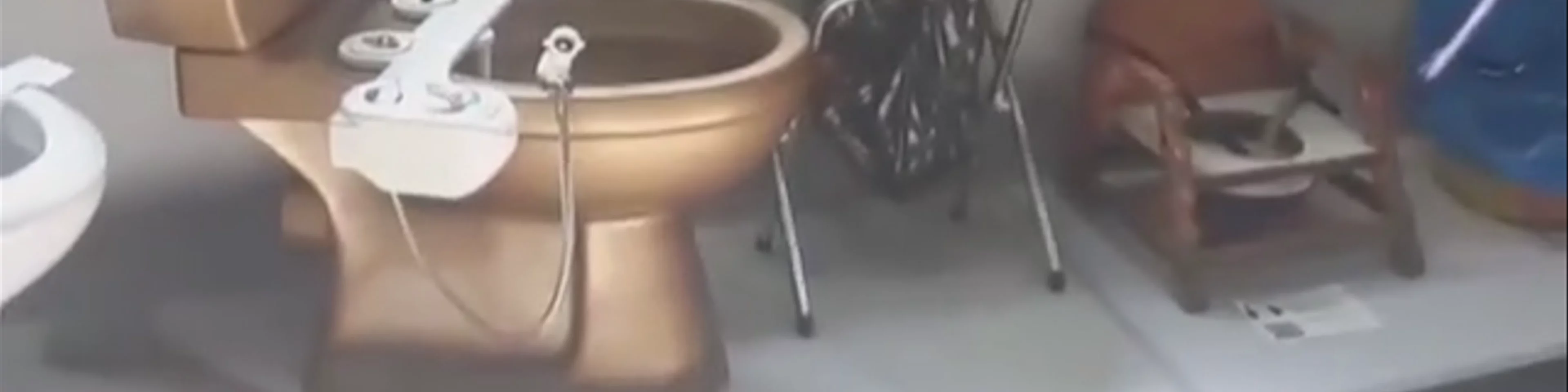 Museum of Toilet History