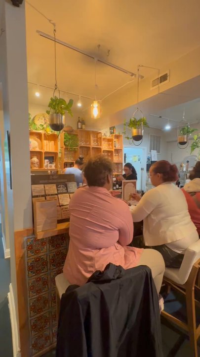 Bodega and Vino - Wine Bars Near Me - Baltimore, Maryland