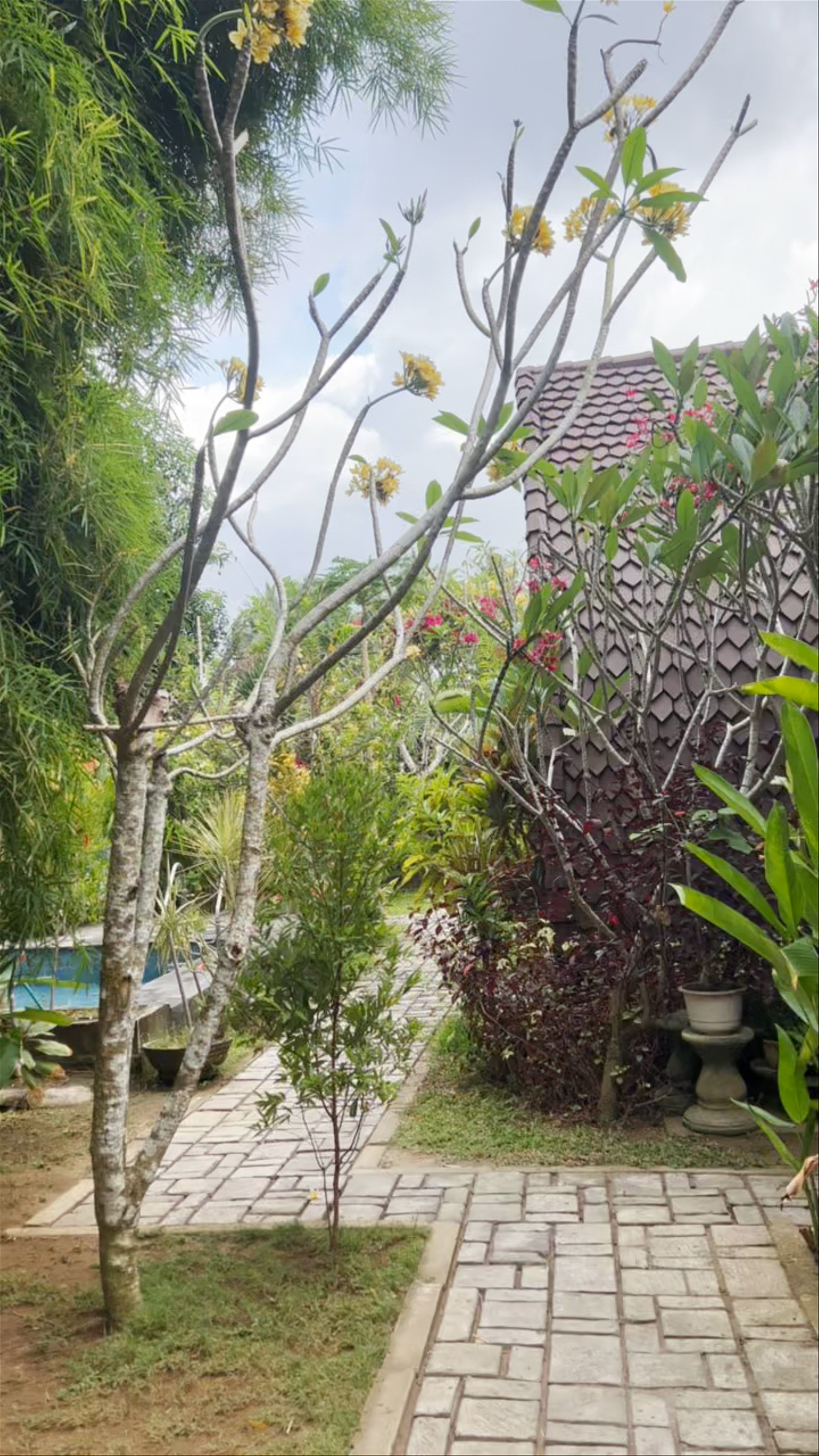 Visual Inn Guest House Nusa Penida RedPartner