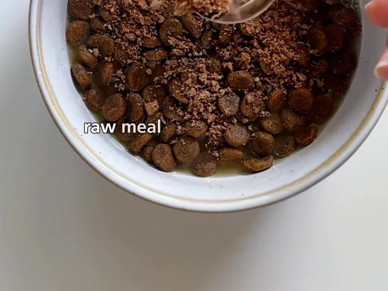How to enhance your pets kibble