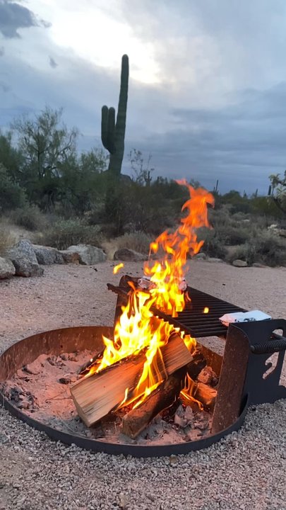 Usery Mountain Regional Park - Great location - Parks Near Me - Mesa, Arizona
