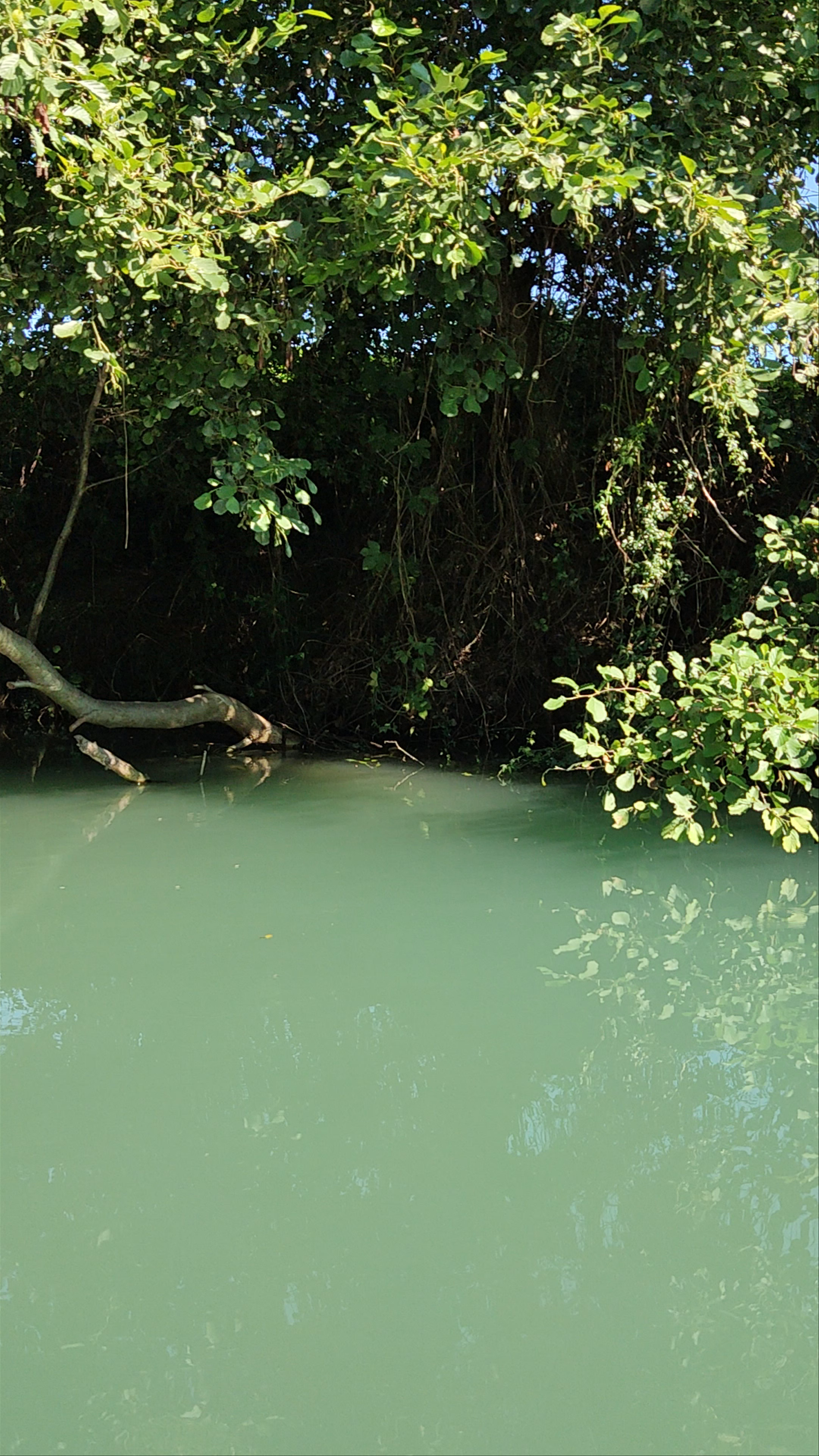 Βαρκάδα στον Αχέροντα