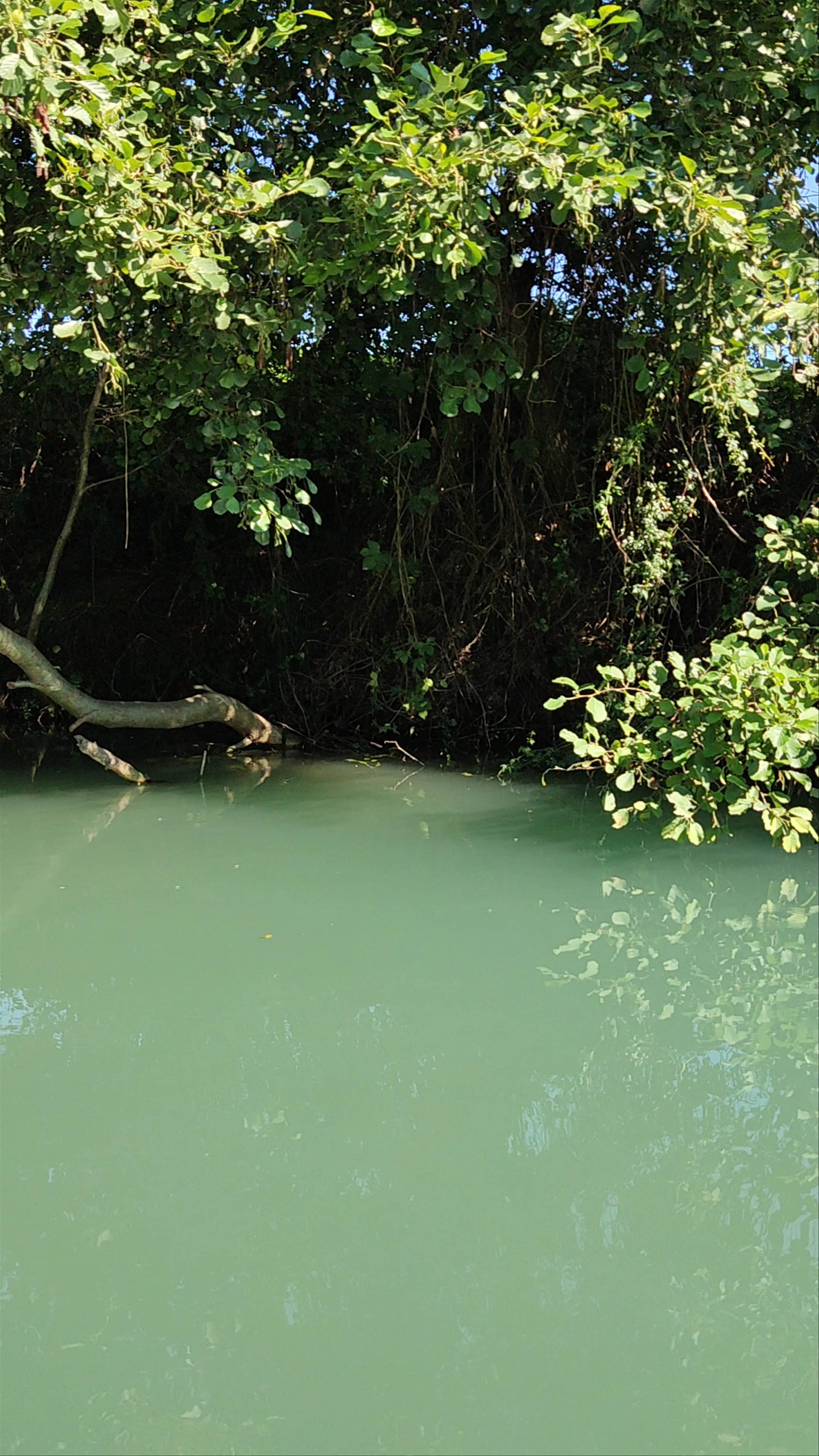 Acheron River, Fanari