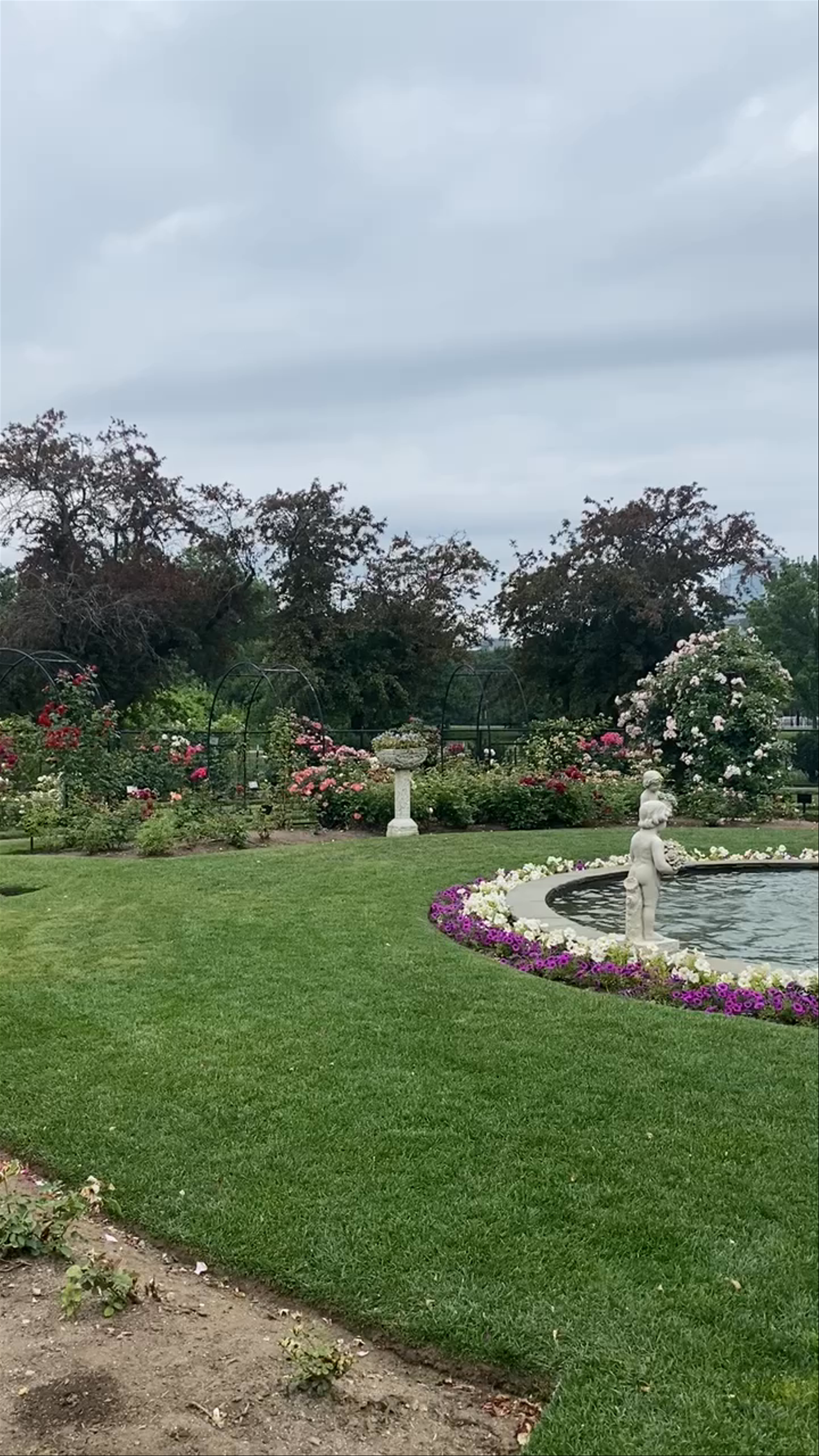 Keller Rose Garden 