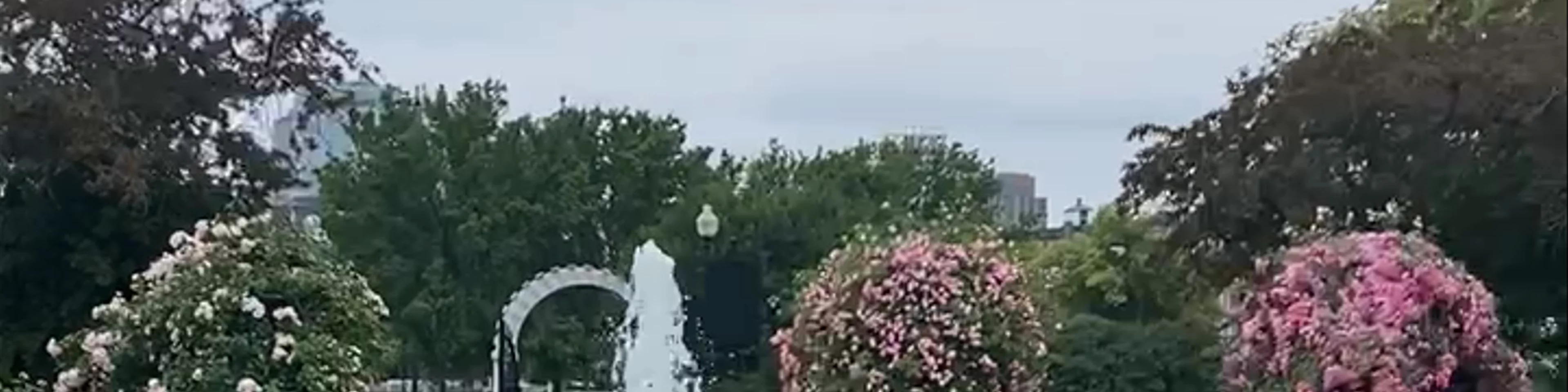 Keller Rose Garden 