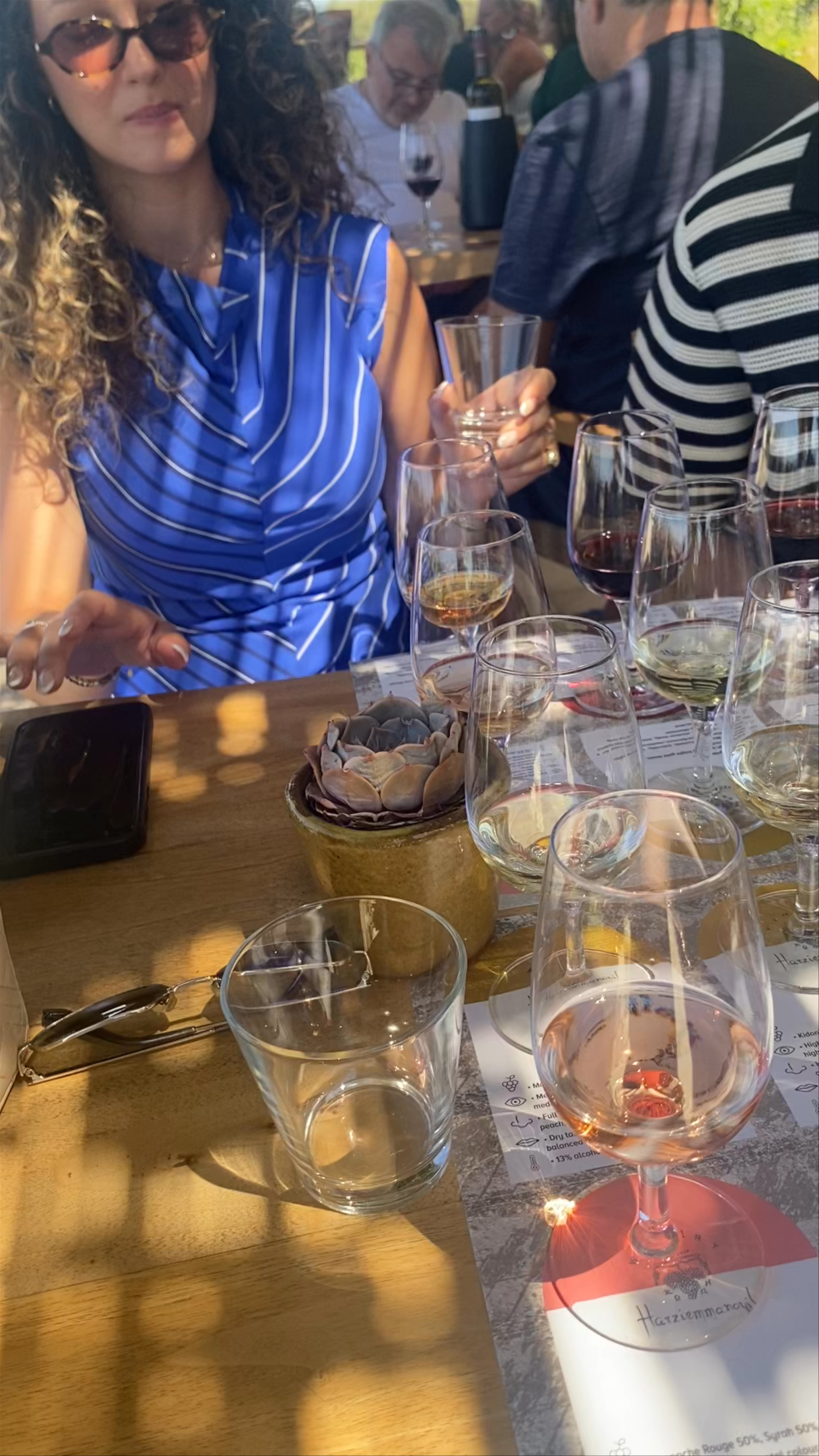 Sunlit Wine Tasting at Hatziemmanouil Vineyards in Kos, Greece