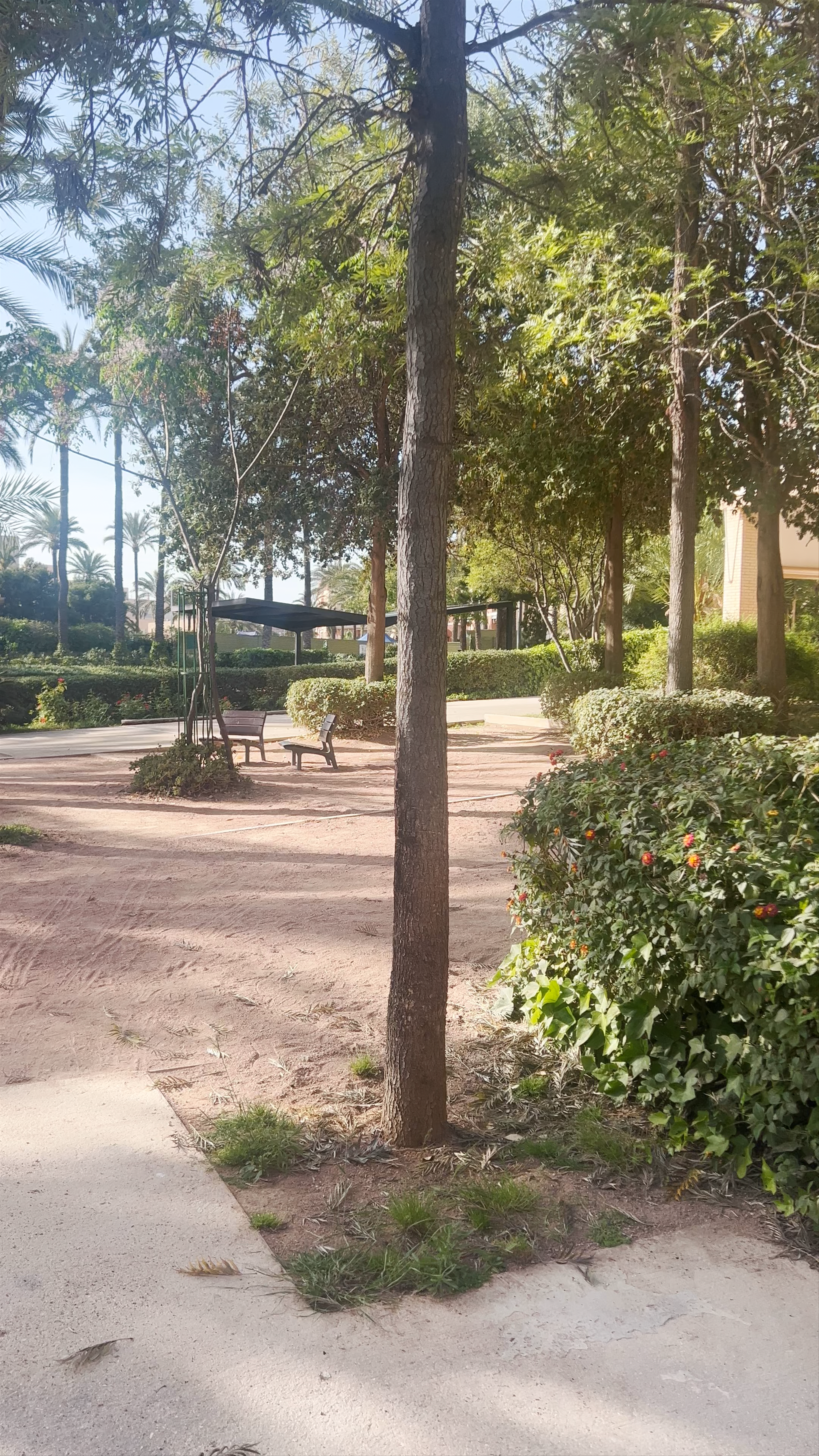 Serene Stroll Through Parque El Palmeral in Santa Pola, Spain