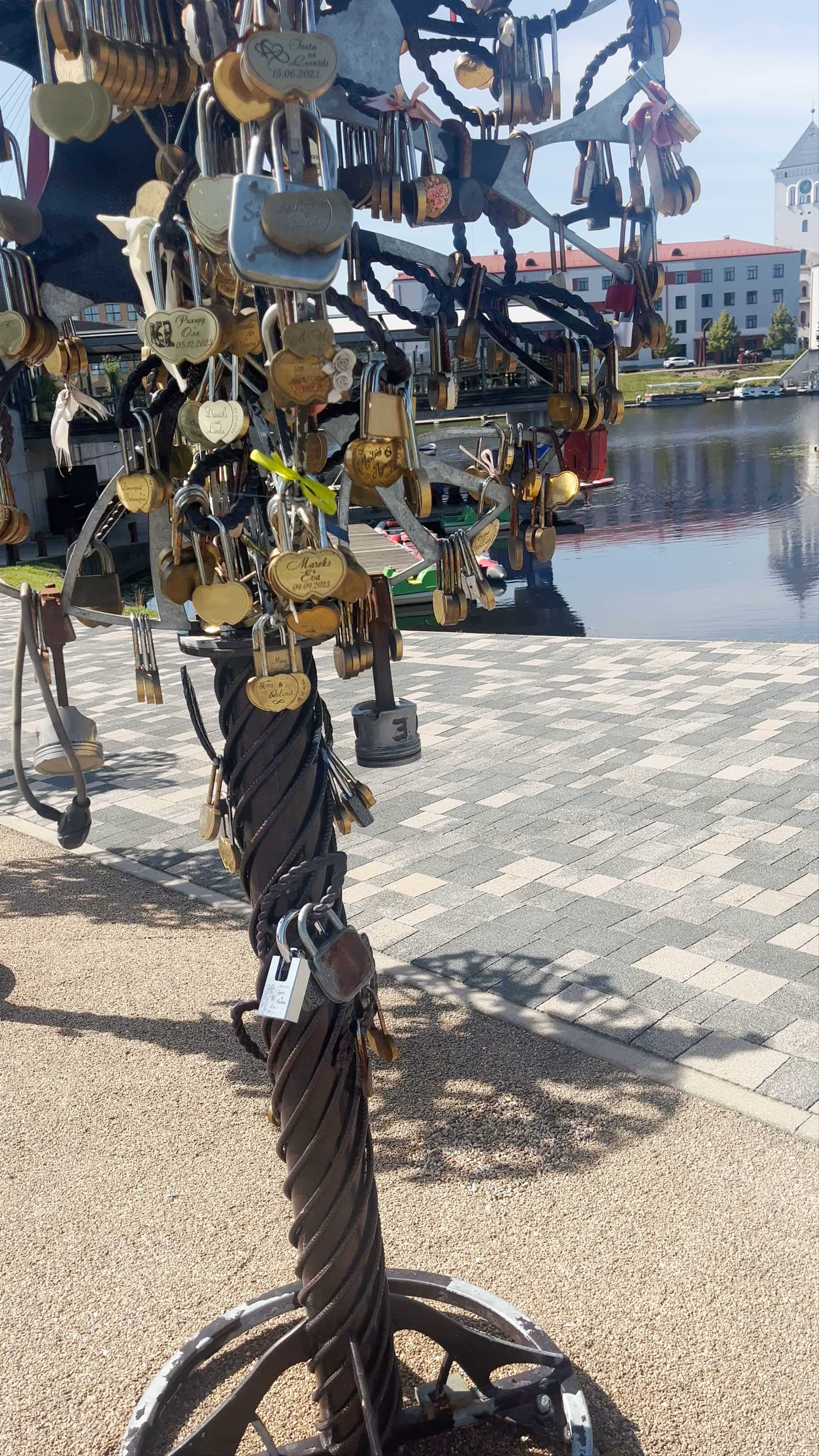 Love Lock Trees: Romantic Landmark in Jelgava, Latvia