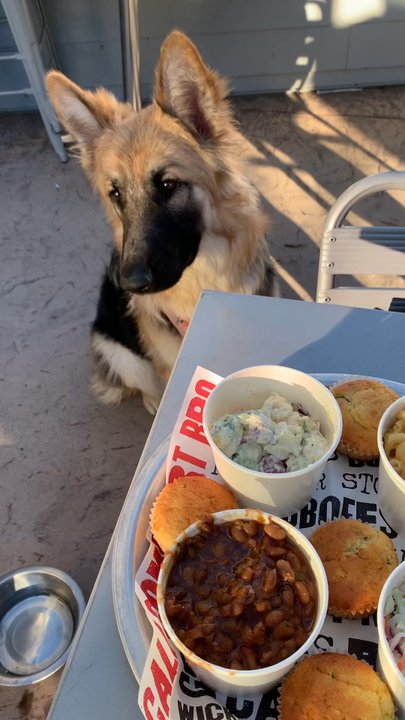 Cali BBQ - Tailgater BBQ Feast, jalapeño Mac n cheese, jalapeño Bacon Wrapped Jalape-o Poppers - Barbeque Near Me - Spring Valley, California