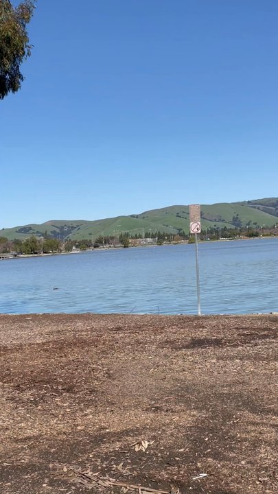 Sabercat Playground - Parks Near Me - Fremont, California