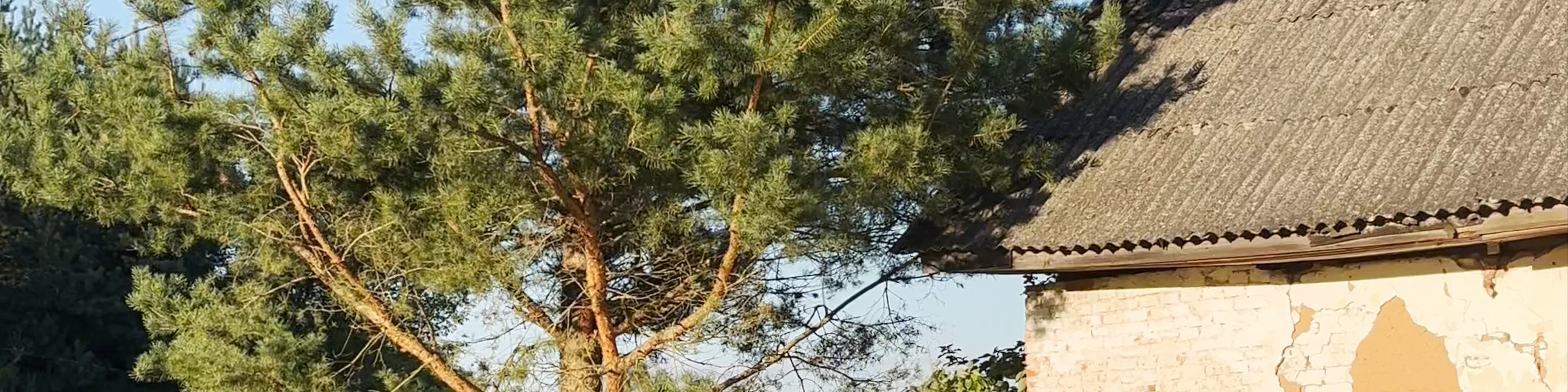 Saločių dvaro fragmentai (dvaro ūkinis pastatas)