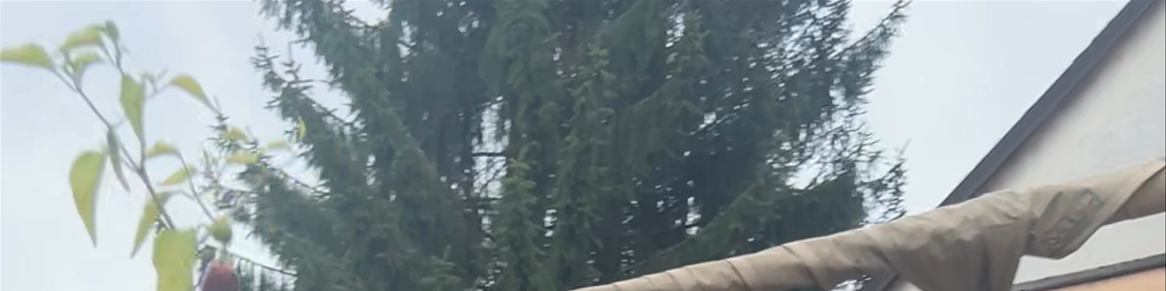 Škofja Loka
