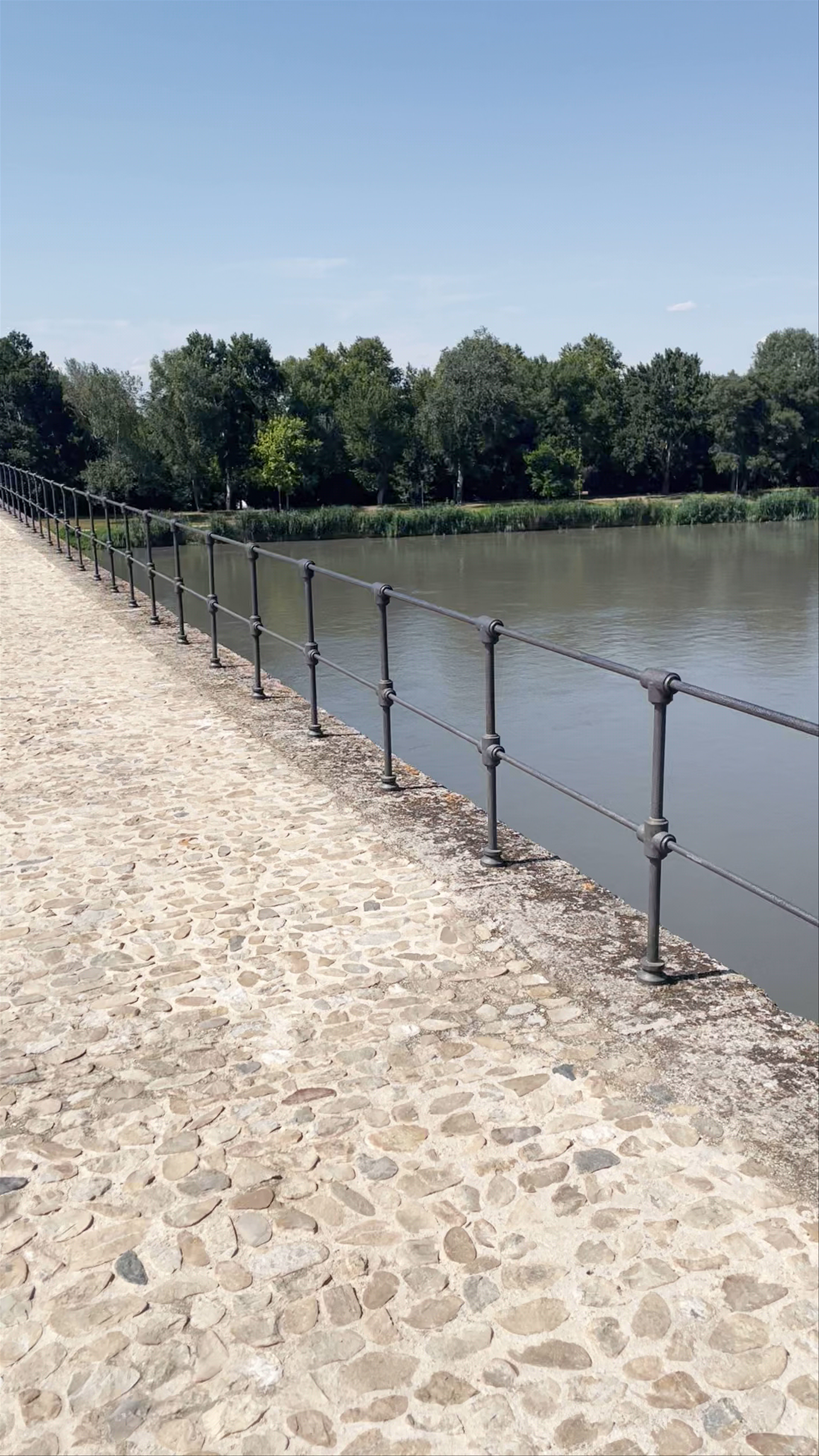 Pont Saint-Bénezet (Le Pont d'Avignon)