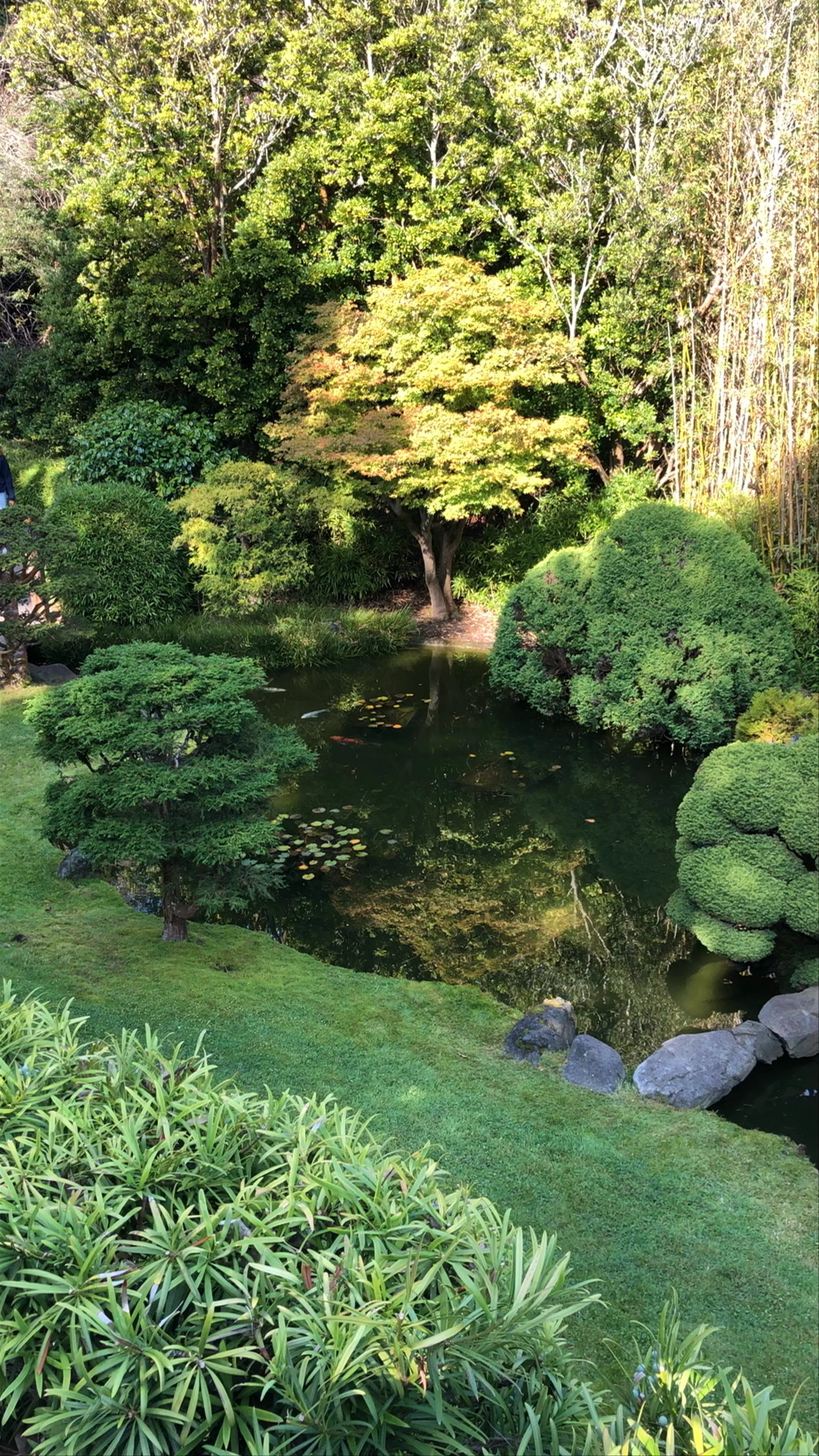 Japanese Tea Garden