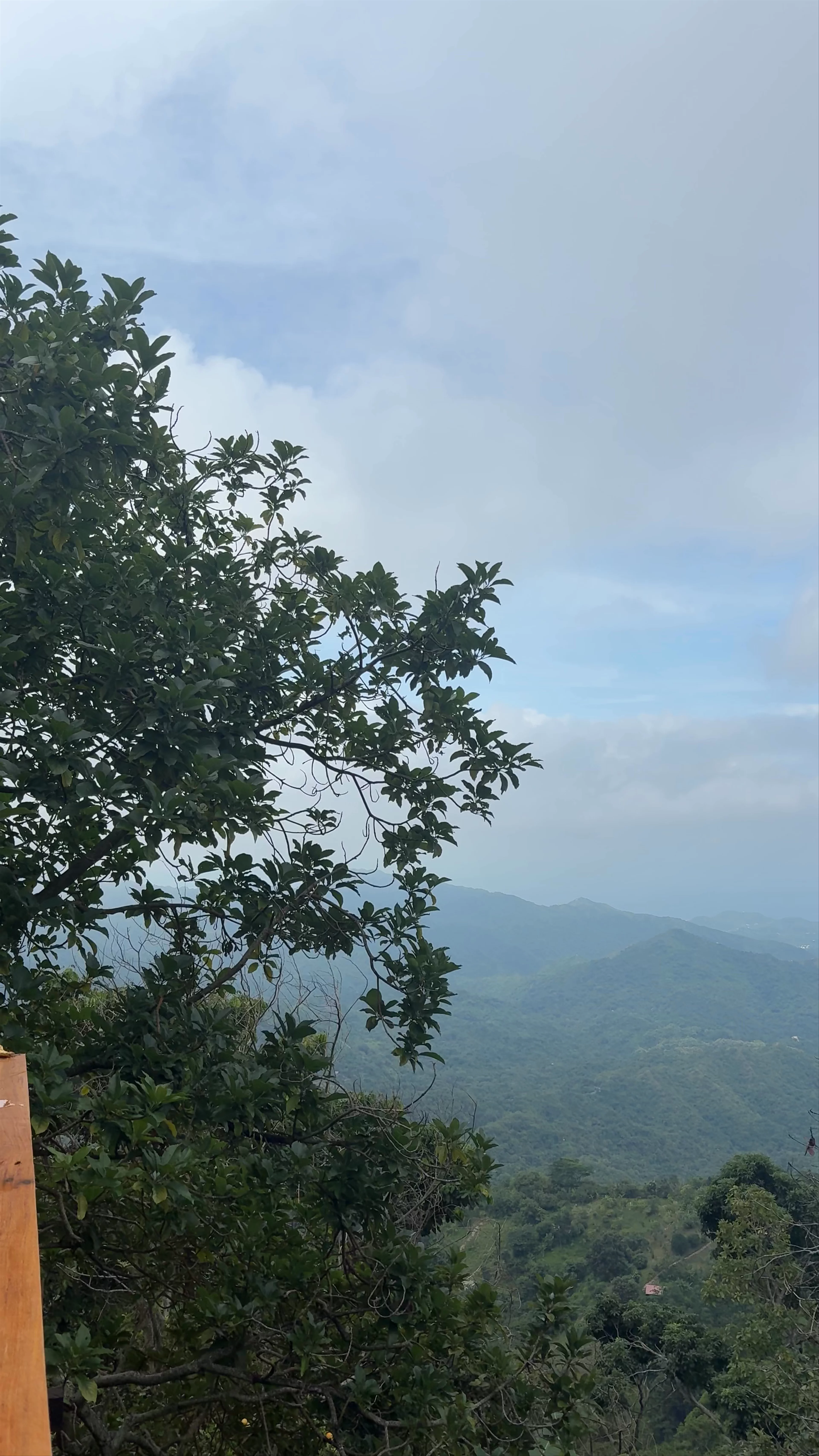 La Candelaria Coffee Farm B&B