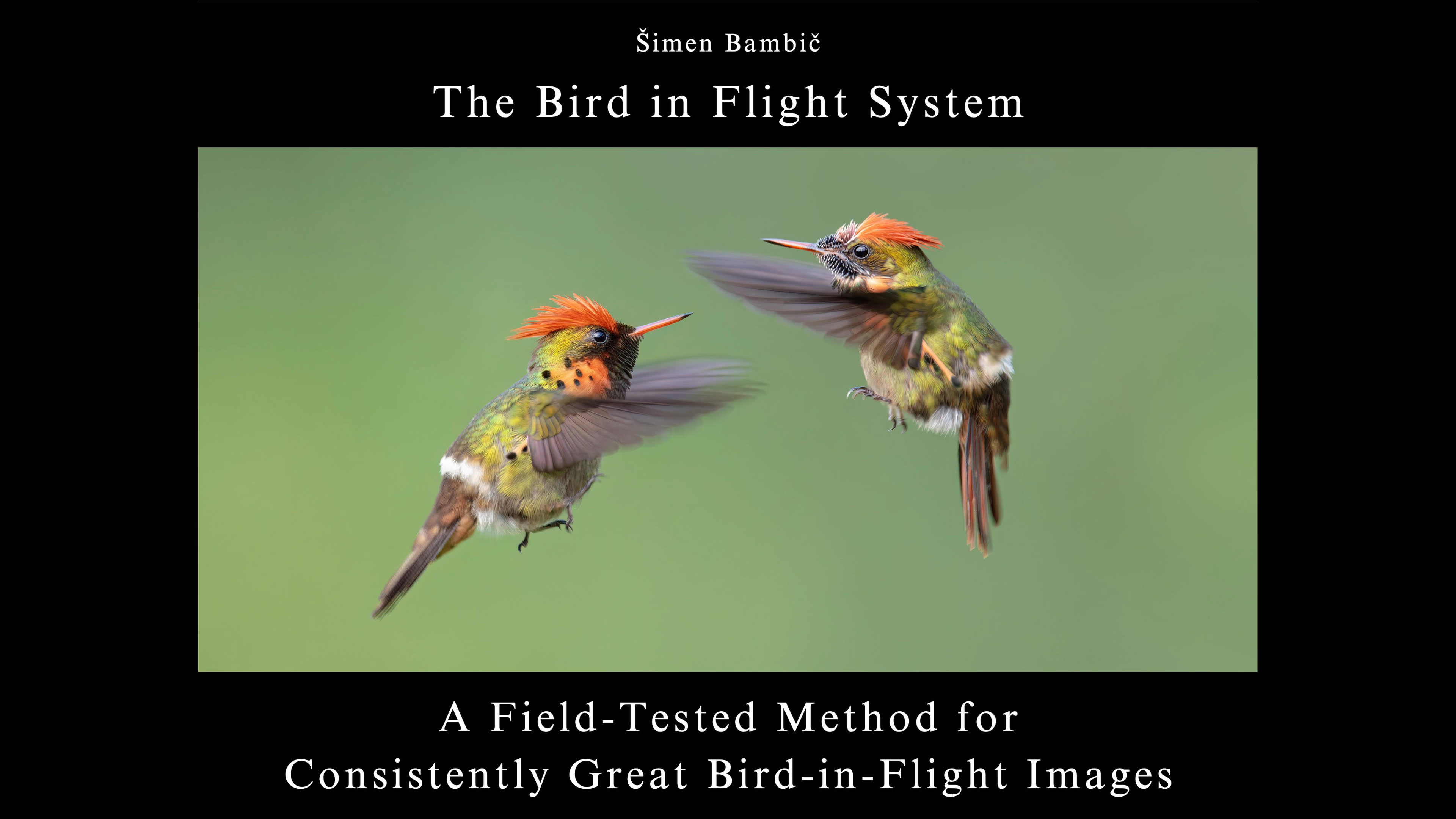 The Bird in Flight System by Simen Bambic, book cover