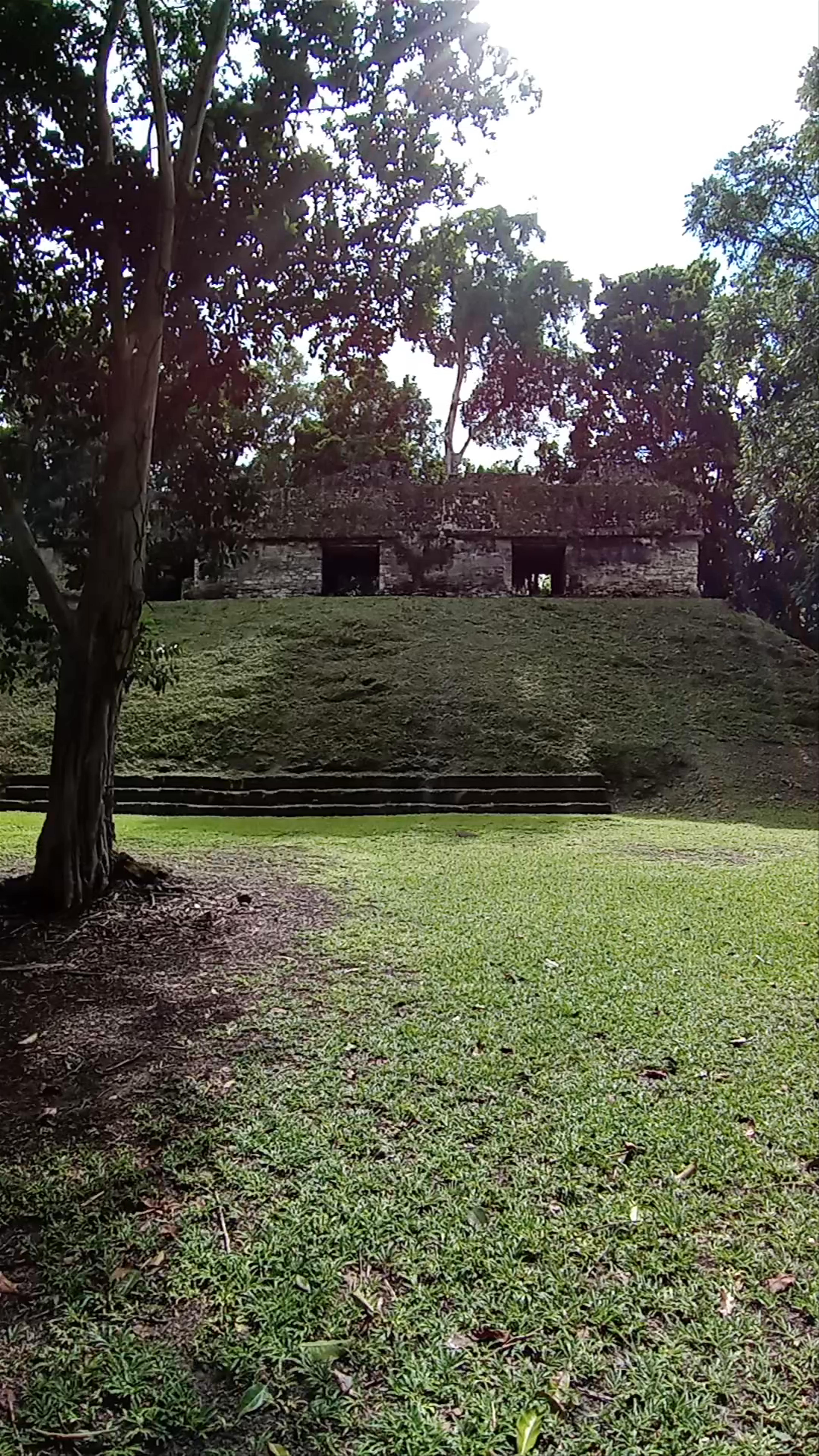 Tikal National Park: Mystical Mayan Ruins Immersed in Nature
