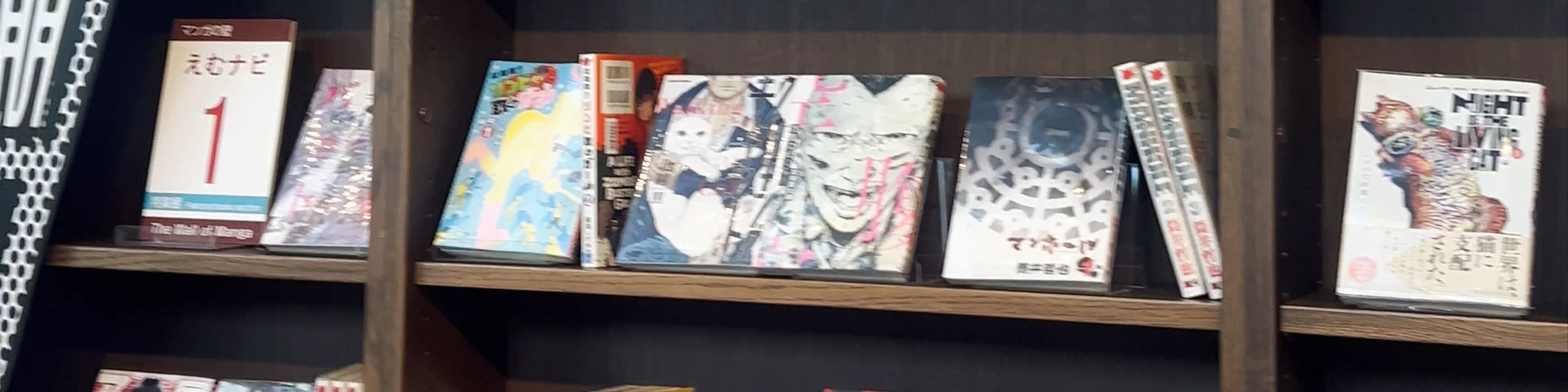 Kyoto International Manga Museum