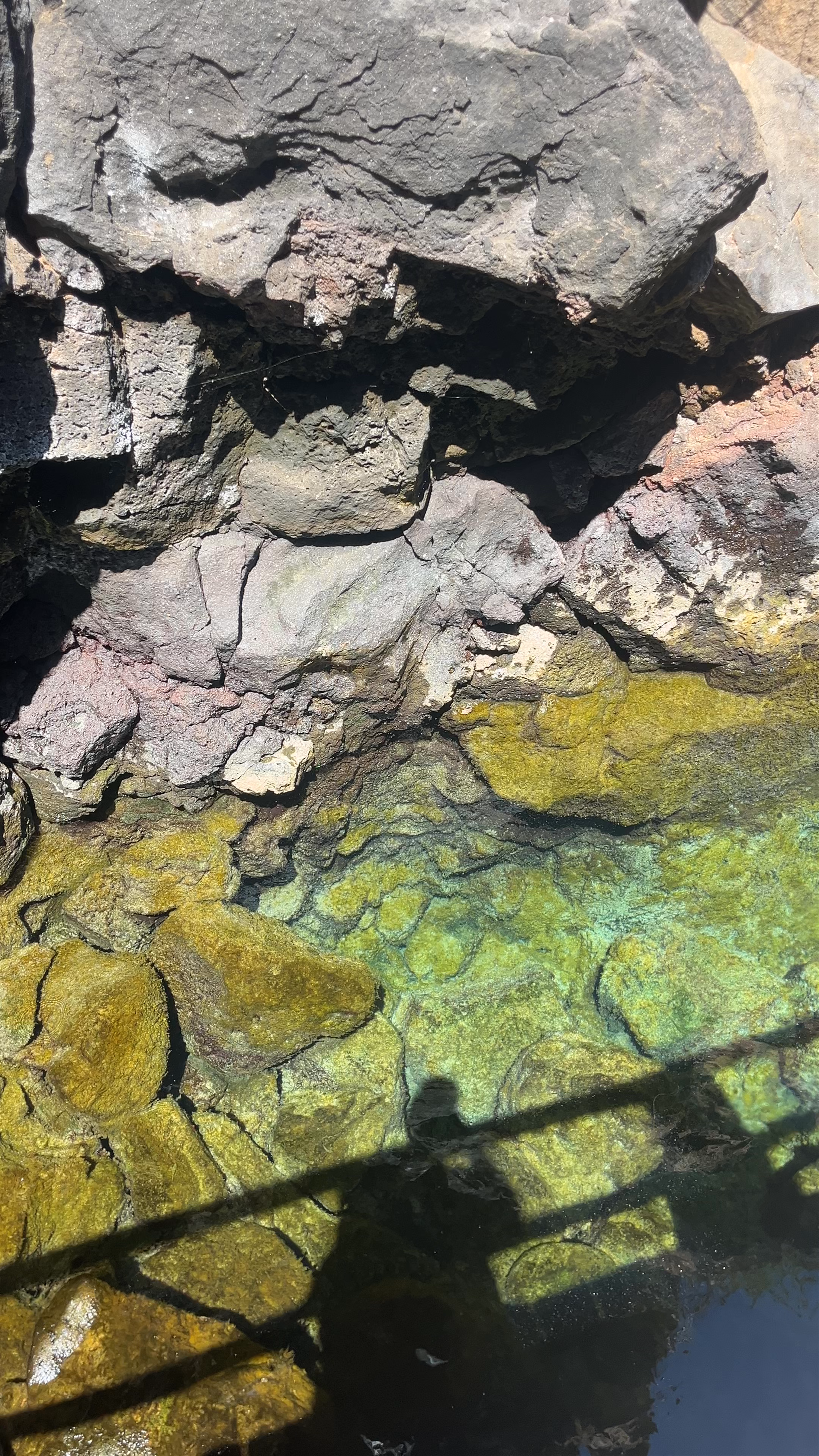 Exploring Las Grietas: A Hidden Natural Oasis in Puerto Ayora, Galápagos