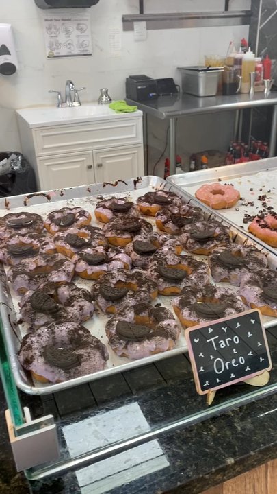 Mochinut - Donuts Near Me - Temple Terrace, Florida