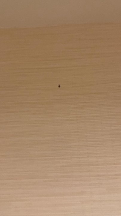 Fairfield by Marriott Inn & Suites Tifton - Mold in the bathroom - Hotels Near Me - Tifton, Georgia