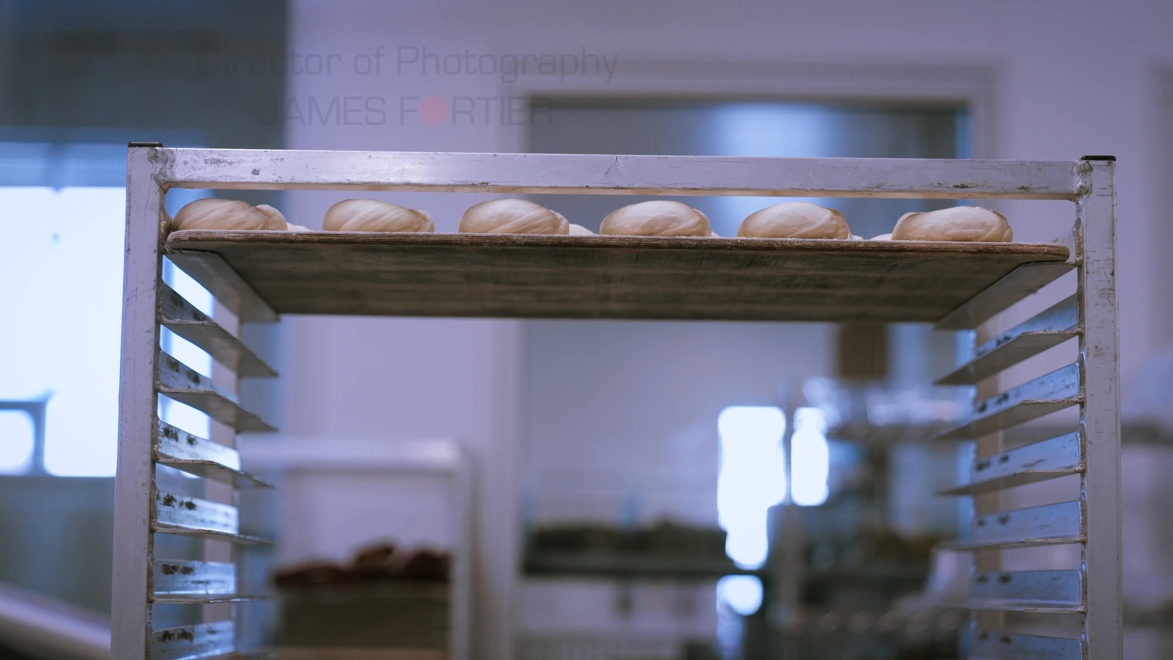 Industrial bakery equipment automates the movement, boiling, and tray-loading of fresh bagels on a production line.