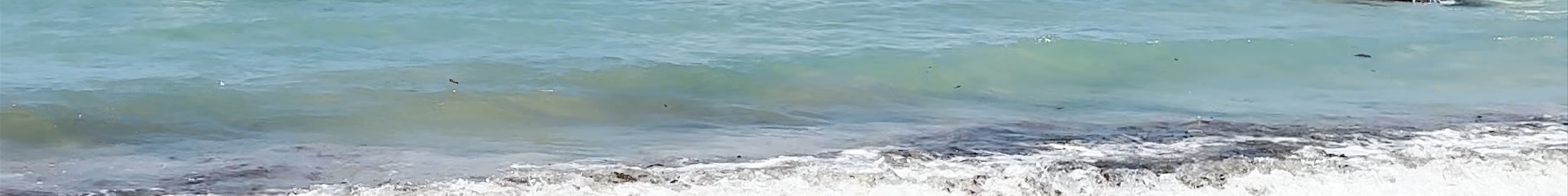 Tours & experiences in Beau Vallon