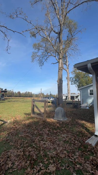 Down East Timber Solutions - Tree Services Near Me