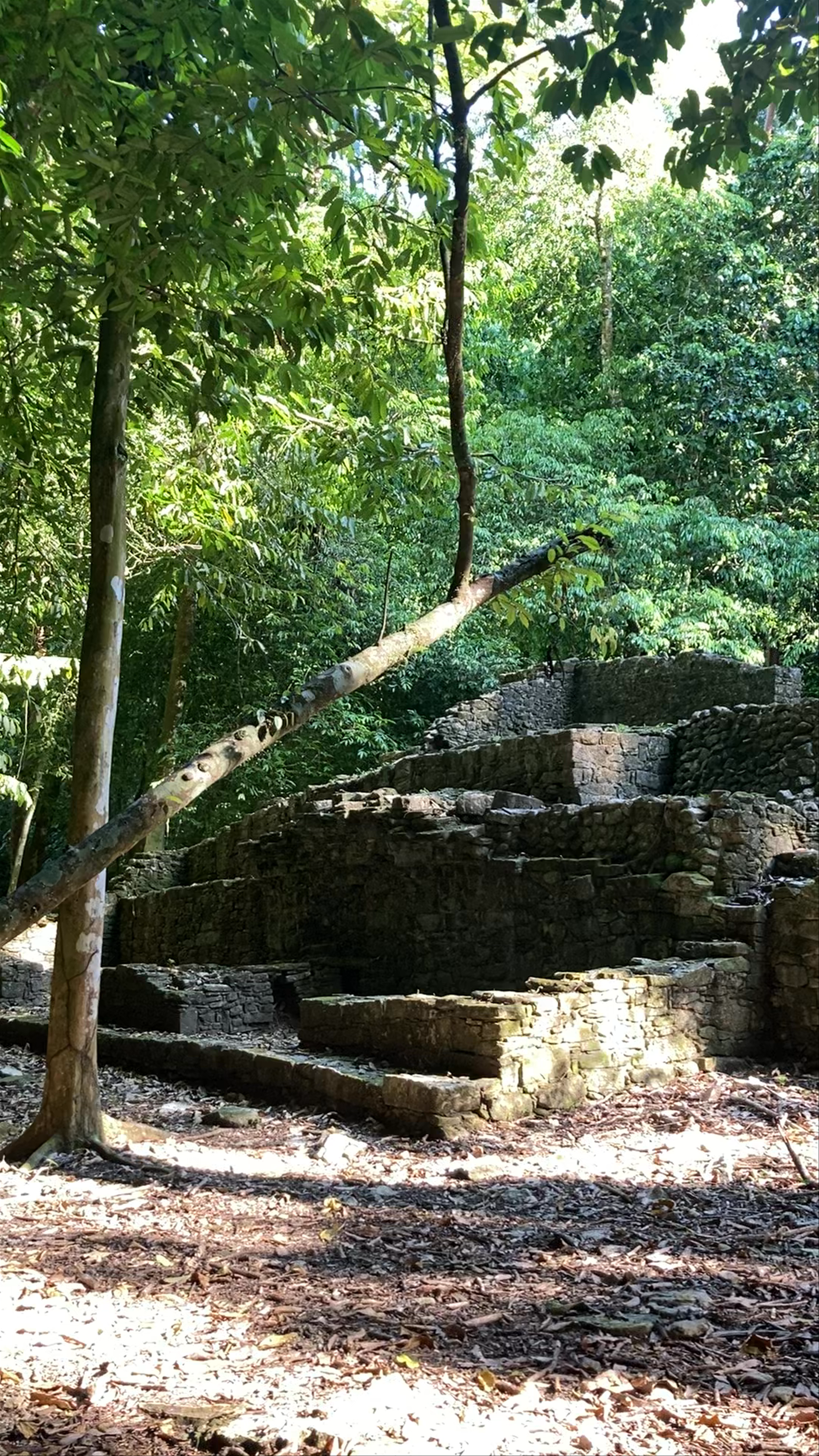 Zona Arqueológica Palenque