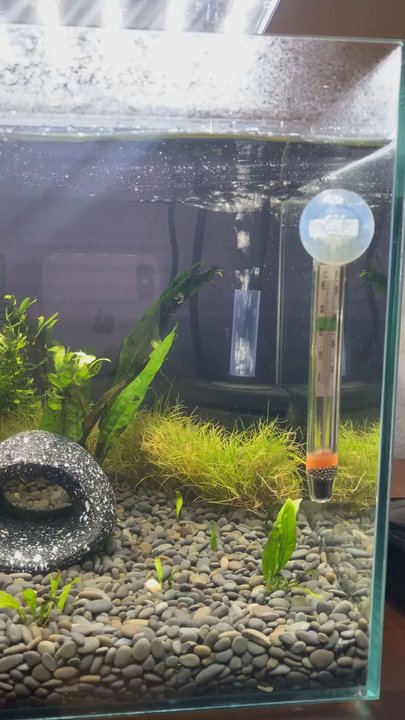 Texas Aquatics - Local Fish Stores Near Me - North Richland Hills, Texas