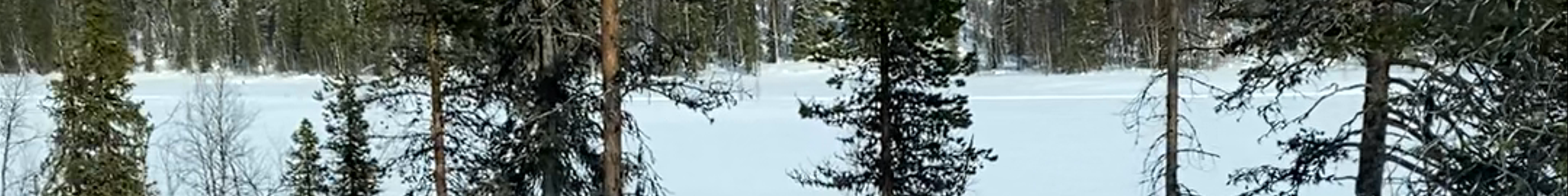 Tours & experiences in Southern Finland
