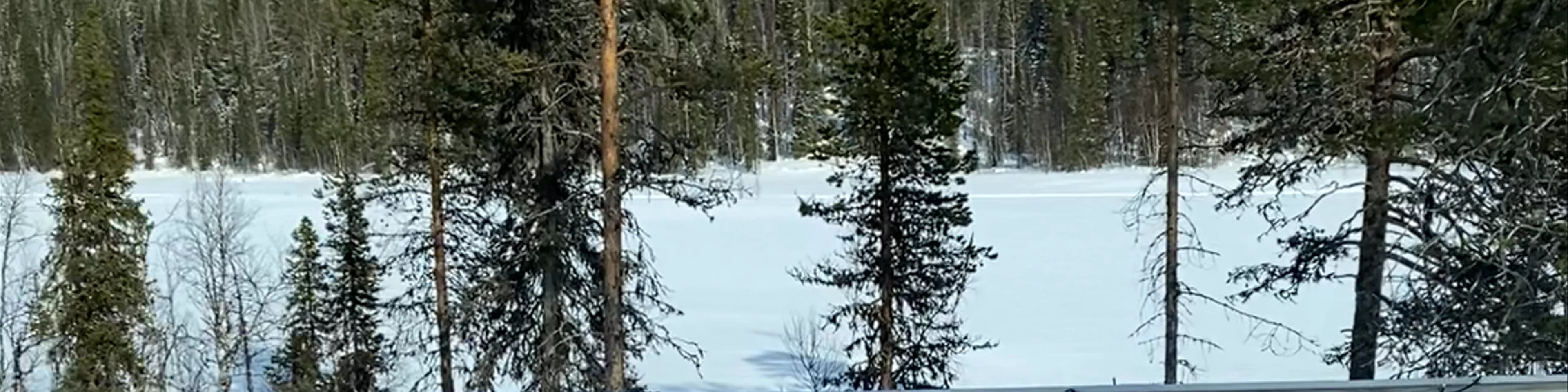 Finnish Sauna