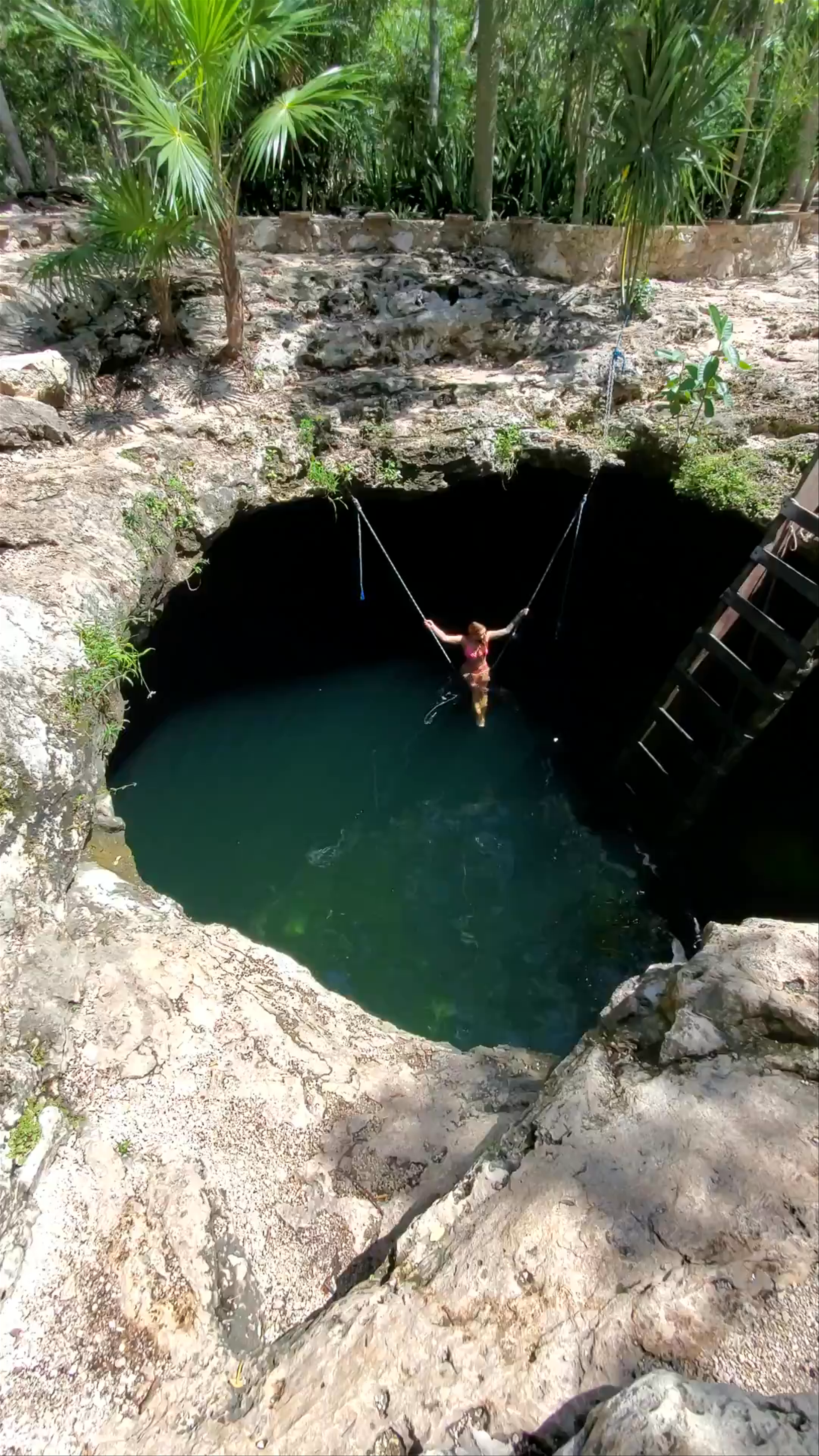 Swinging into Nature's Hidden Oasis at Cenote Calavera, Tulum