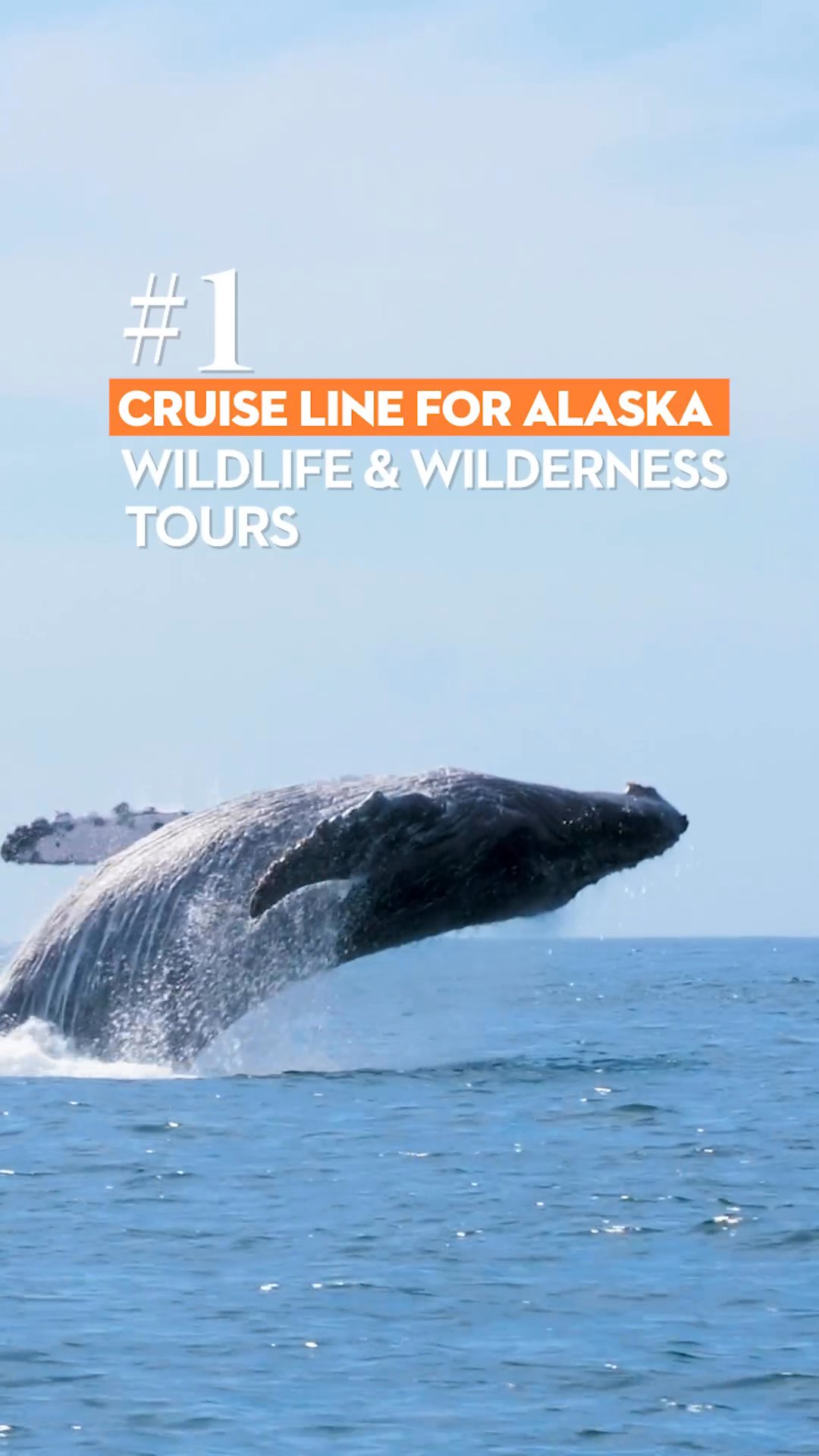 Holland America Line