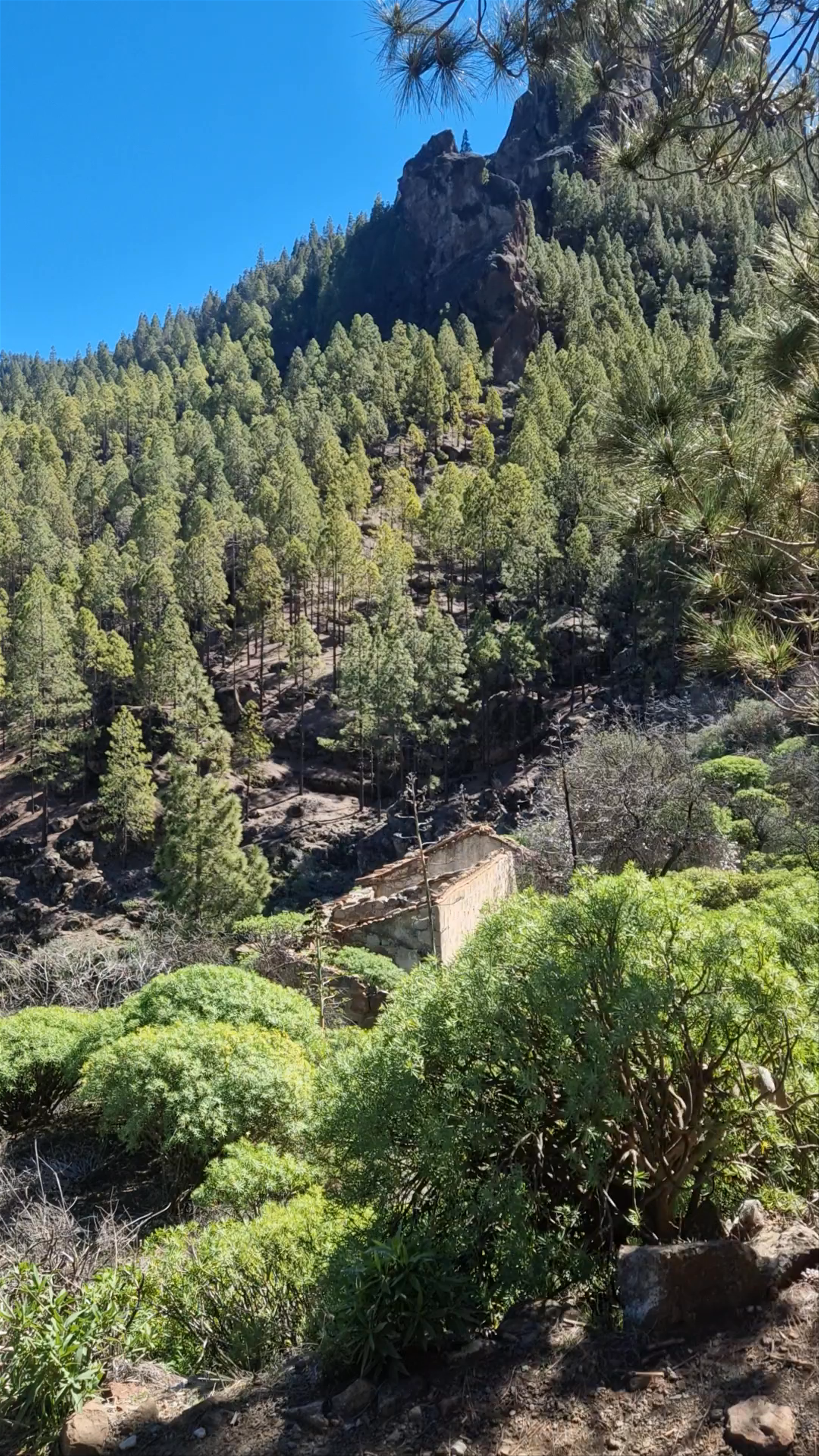 Caminito Roque Nublo