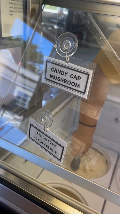 Frankie's - Ice cream selection - Ice Cream & Frozen Yogurt Near Me - Mendocino, California